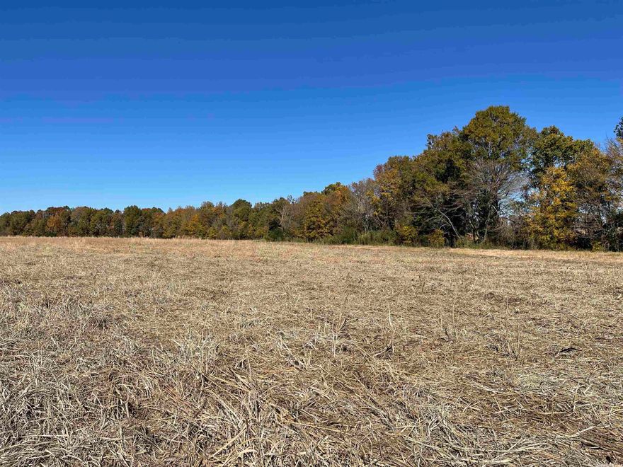 60 acres of pasture with approximately 18 acres of timber and 2 creeks running through it.