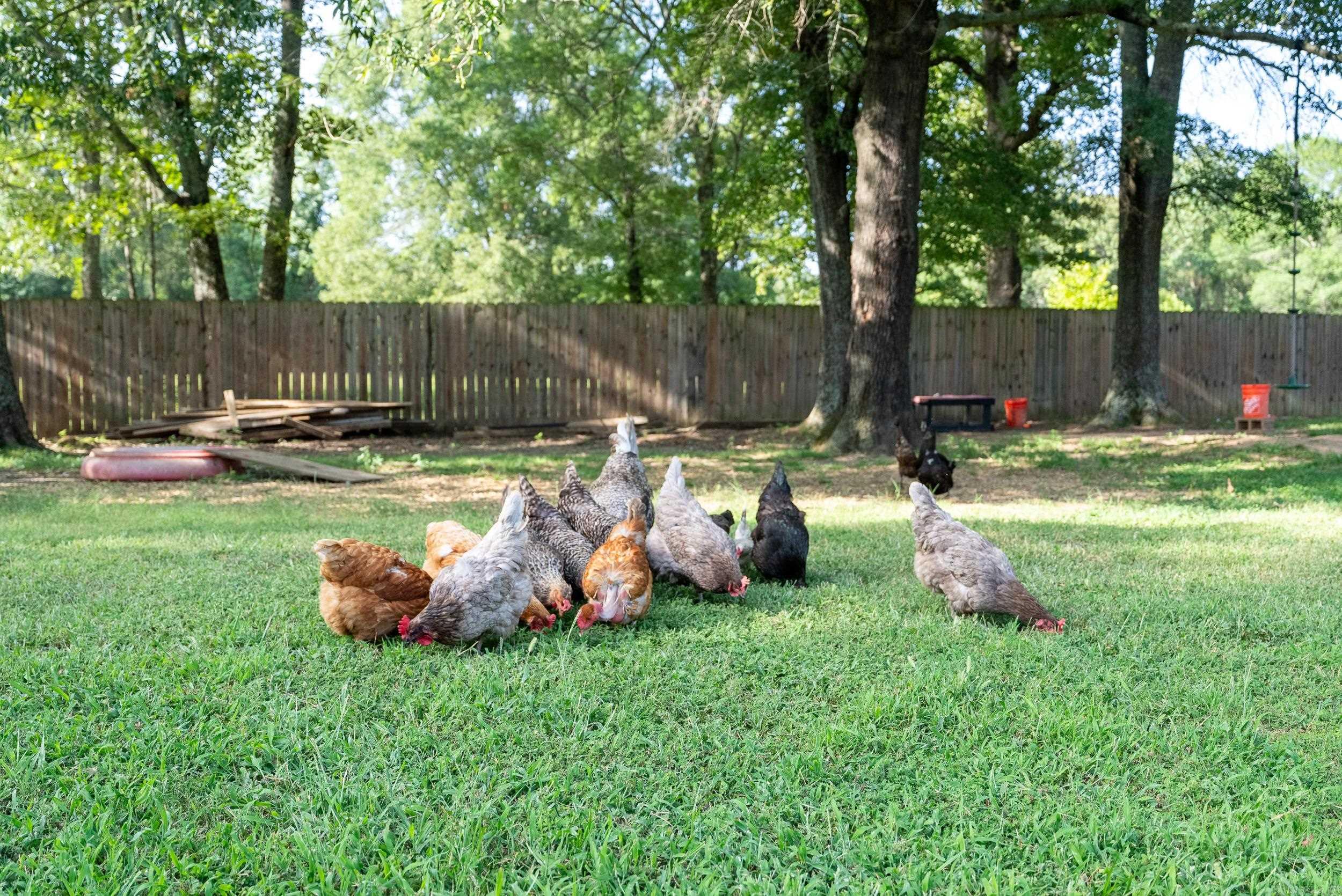 HONOR'S PLACE - Residential