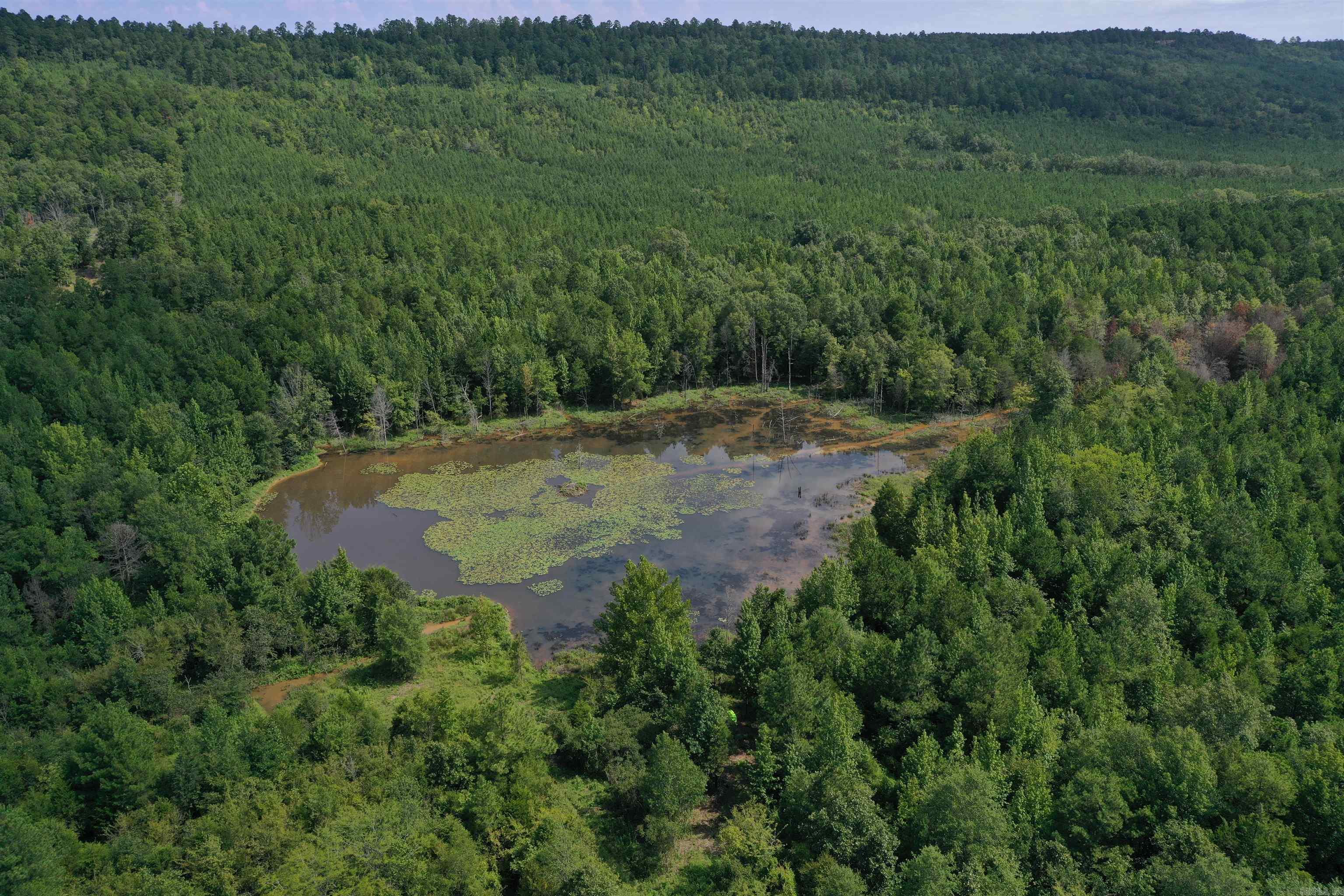 Metes & Bounds - Land