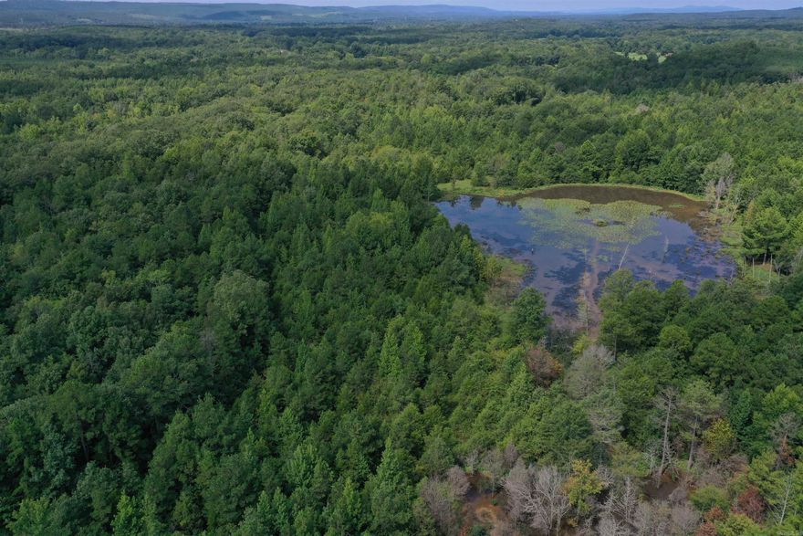 • 113+/- Acres • Hardwood Timber • Year-Round creek • 1.5 +/- Acre Pond • Highway Frontage • Deeded Easements in place for rear property access • Seasonal Creeks • Side by Side trails • Bottom land, Benches, and Ridge Tops • 40 minutes from Russellville • 1 Hour and 15 minutes from Little Rock