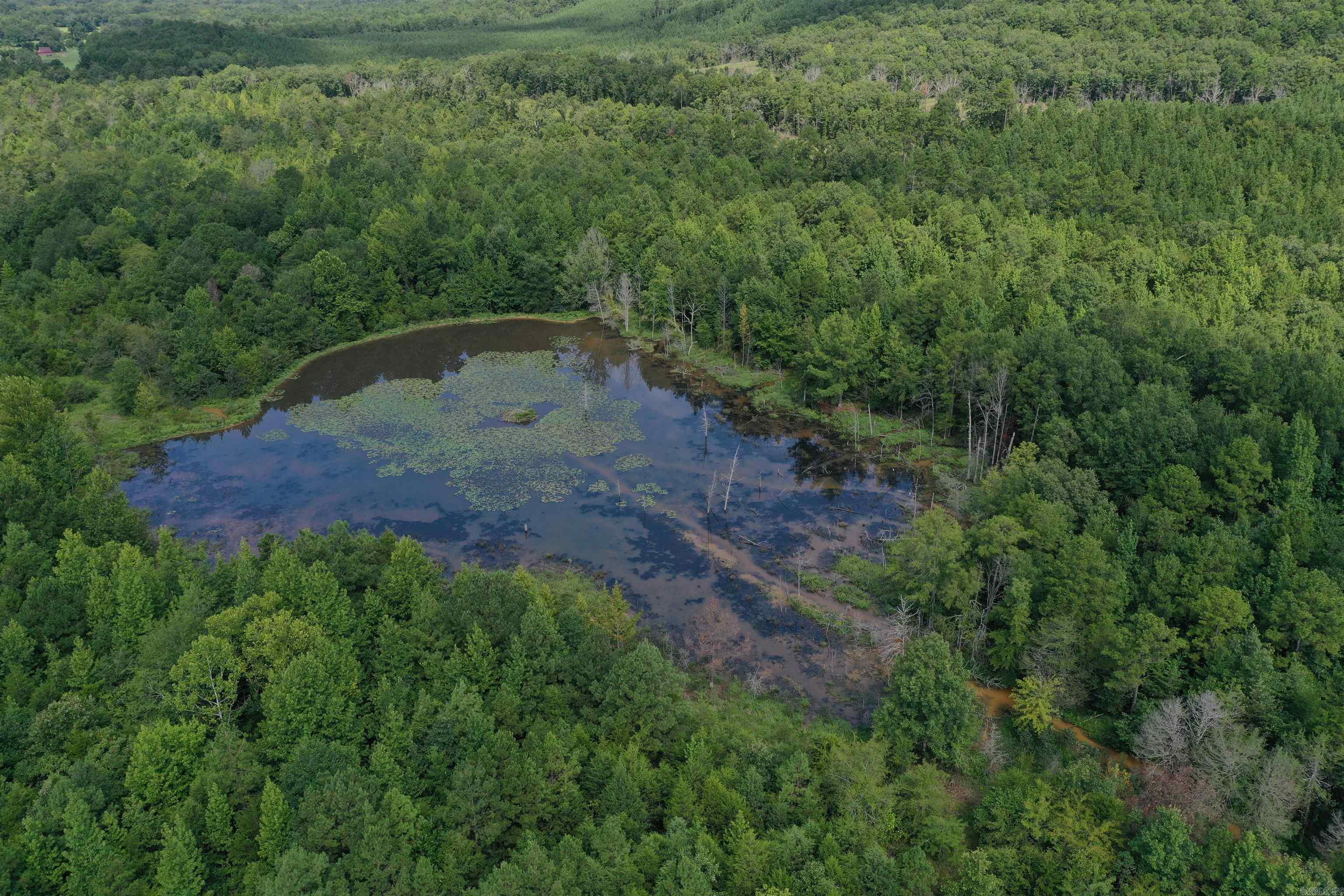 Metes & Bounds - Land