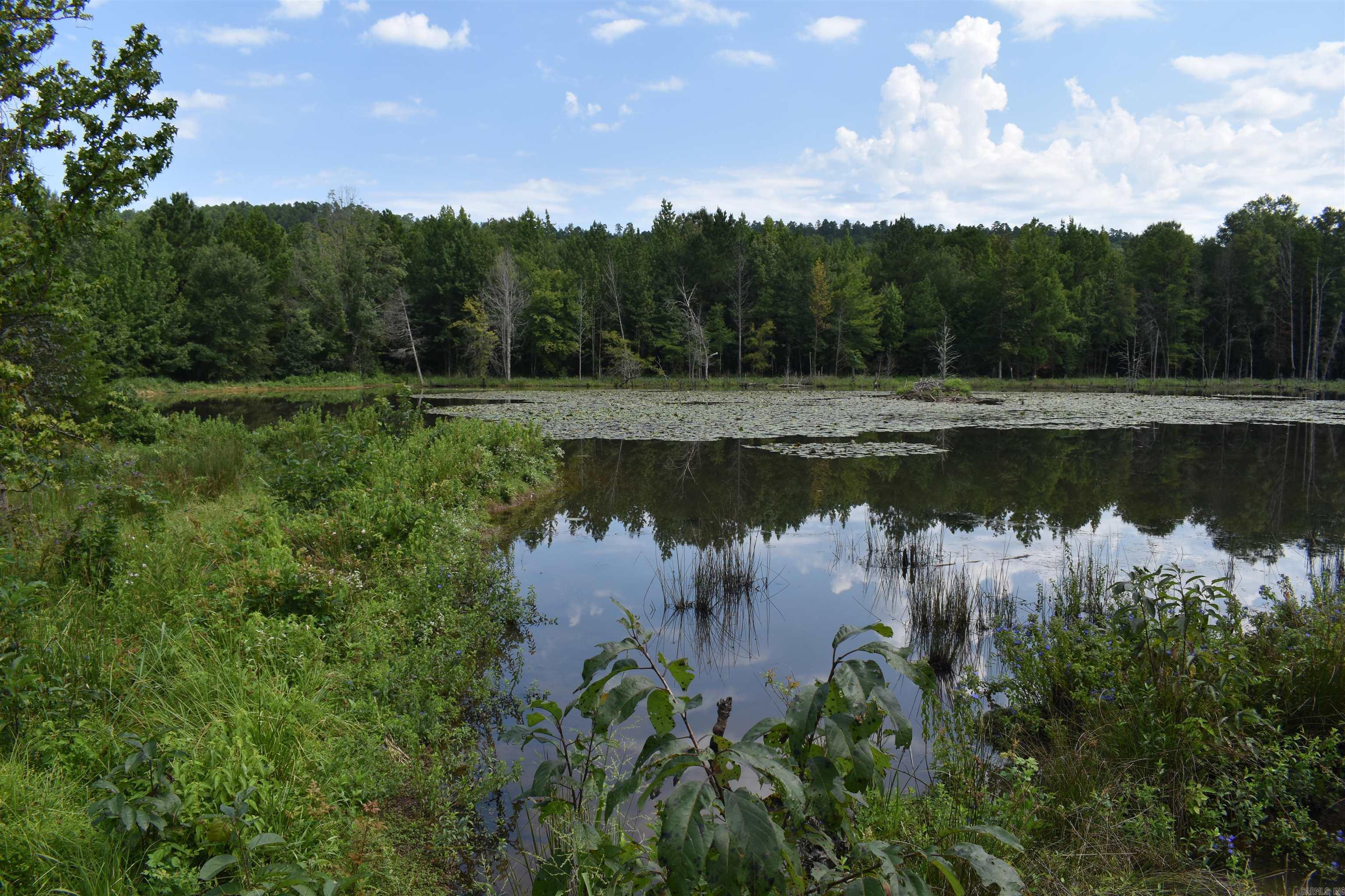 Metes & Bounds - Land