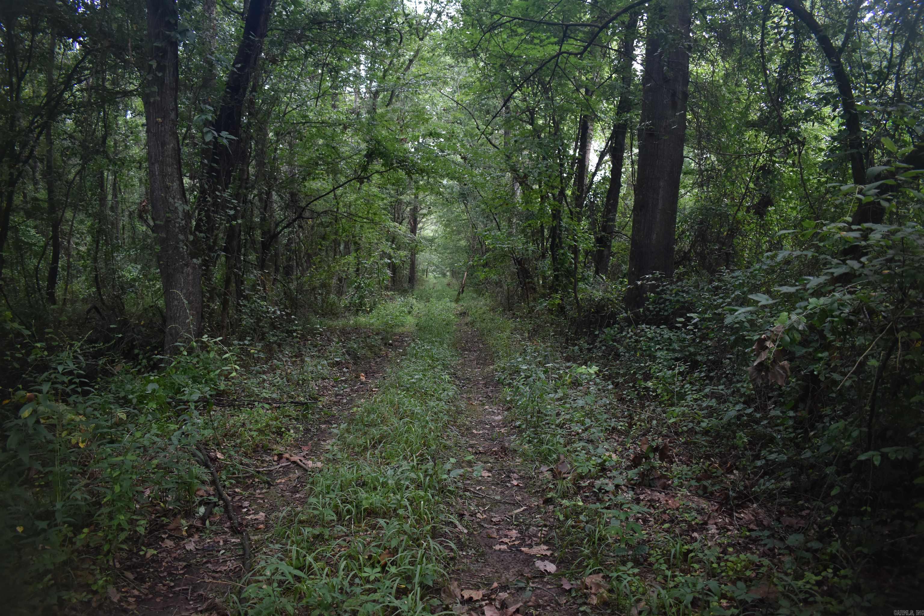 Metes & Bounds - Land