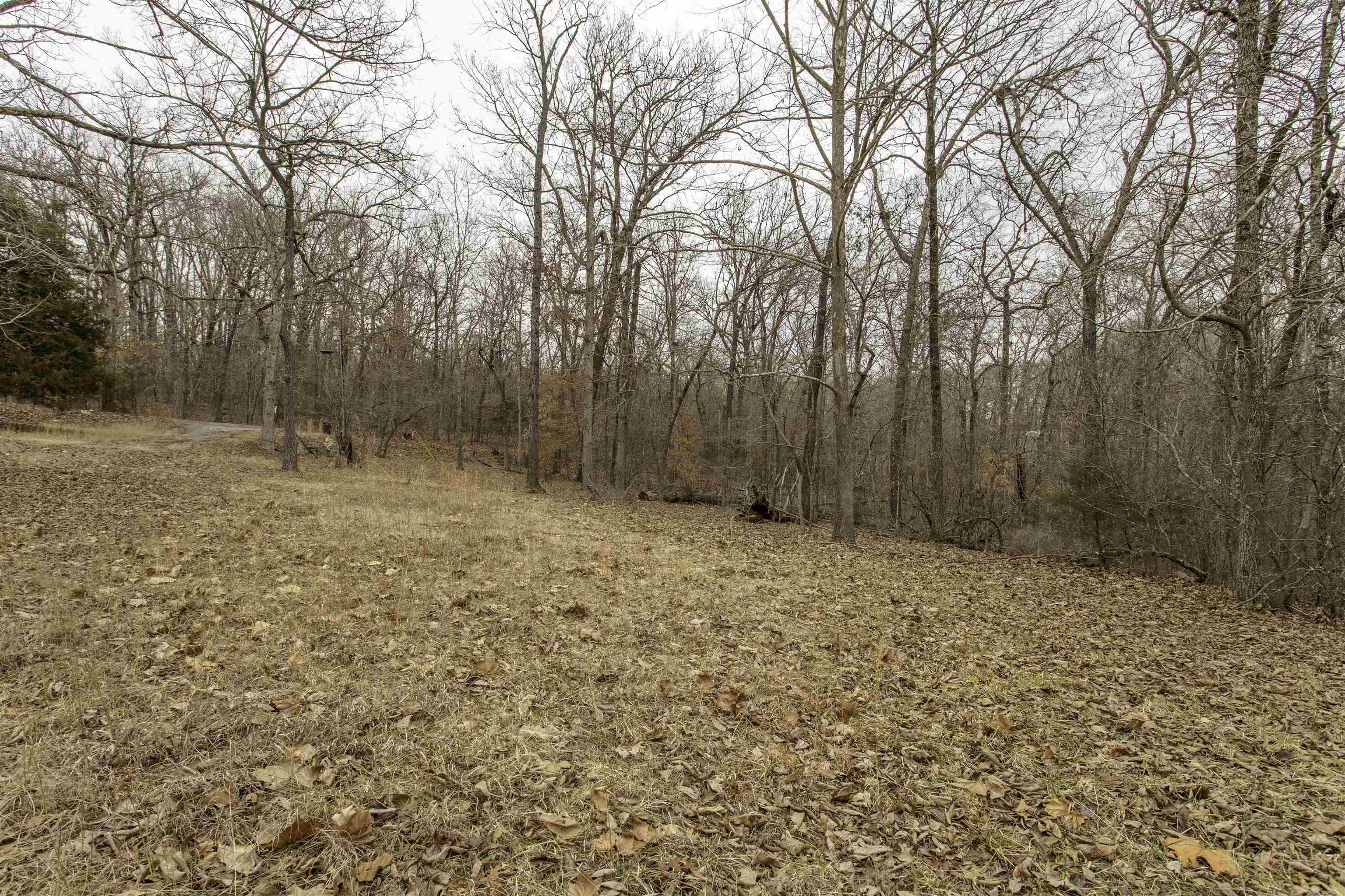 Sherwood Forest - Residential