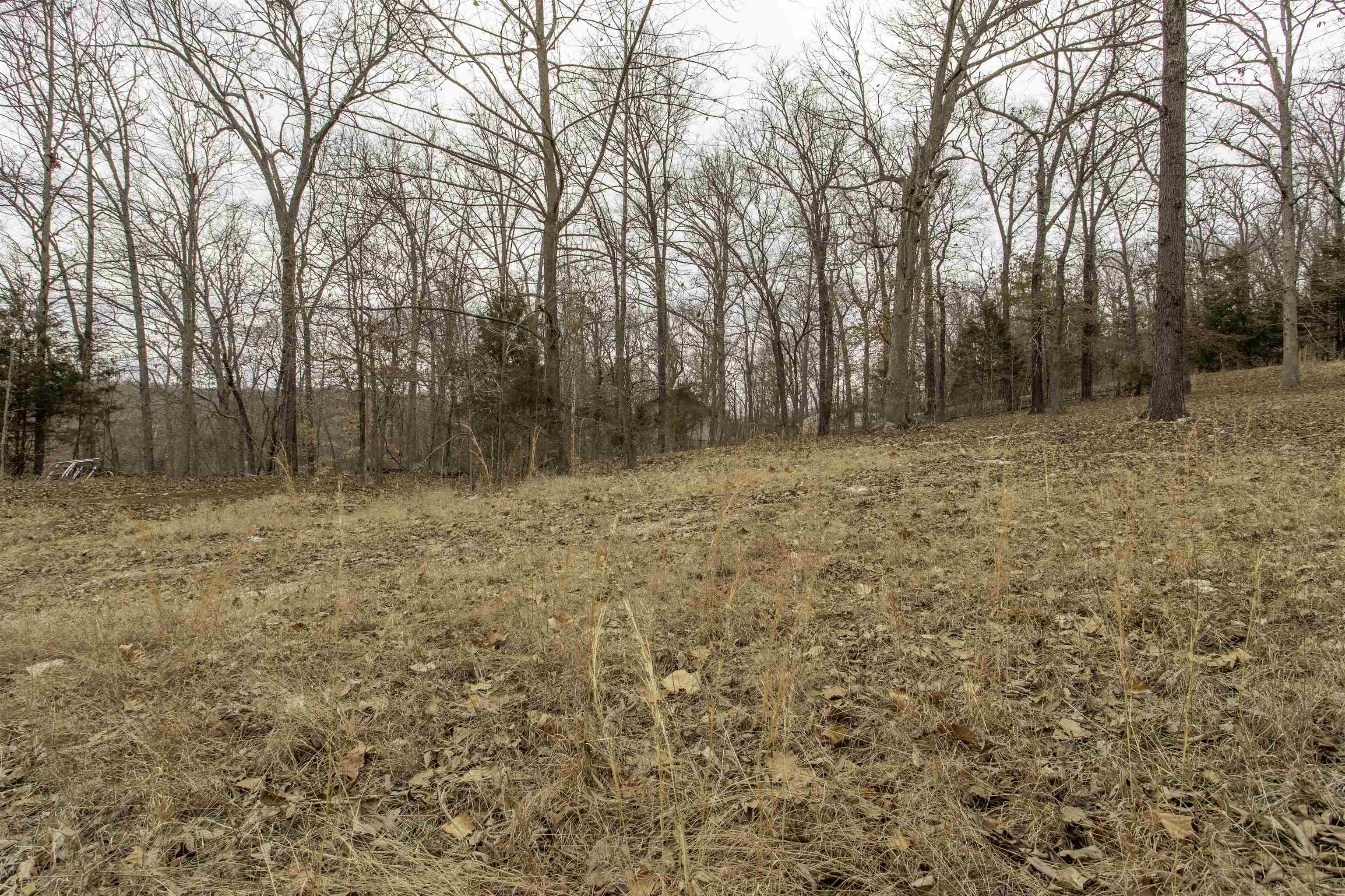 Sherwood Forest - Residential