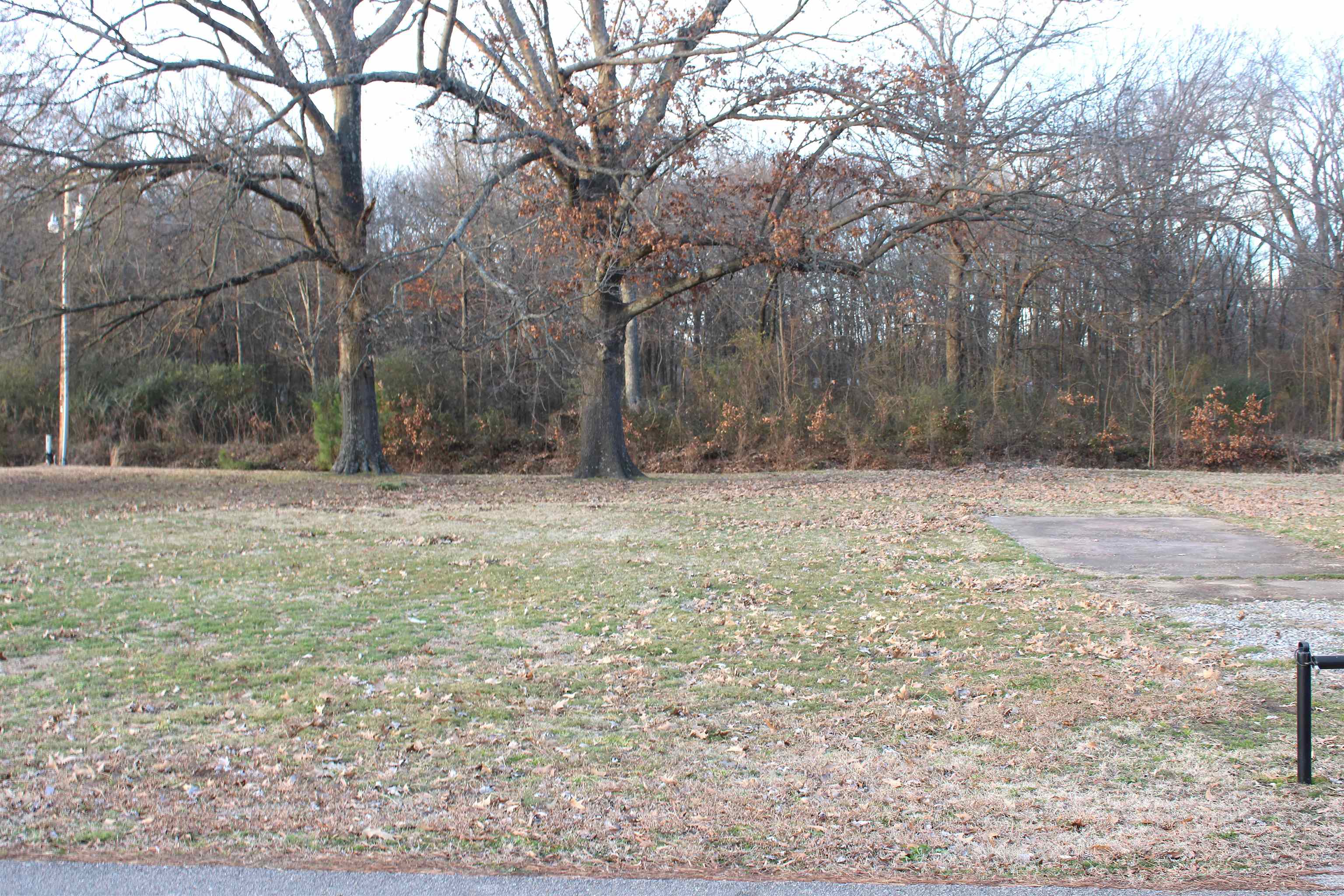 Plantation Acres - Land