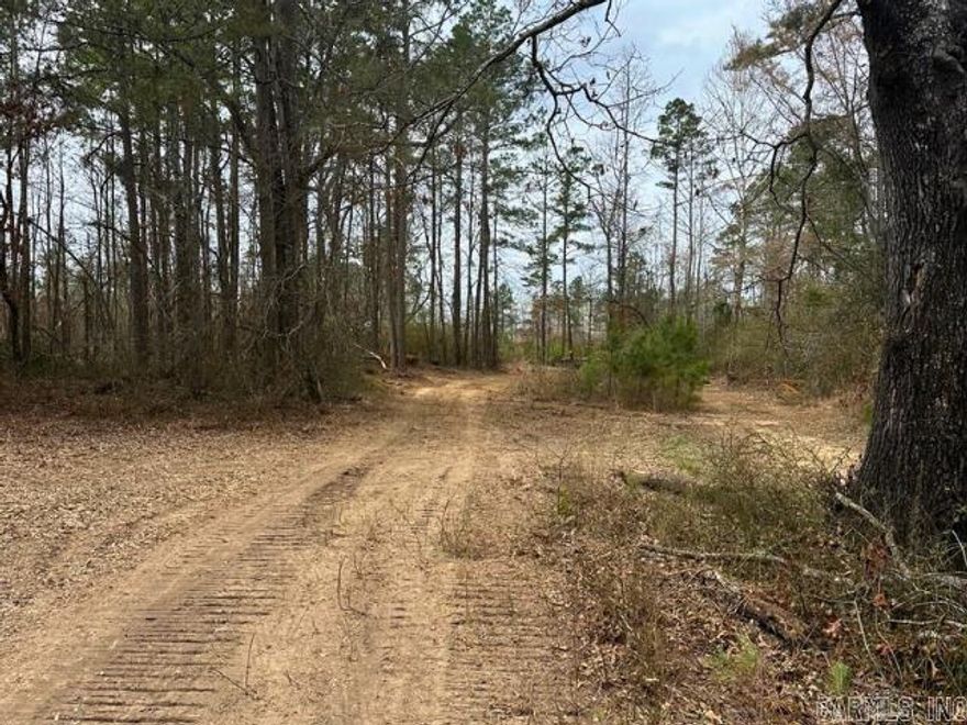 This land contains three parcels totaling approx. 51.4 acres. There is highway frontage for 167 South.  Partially cleared and partially thinned timber.  Perfect for a private home site.  Call us today!!!