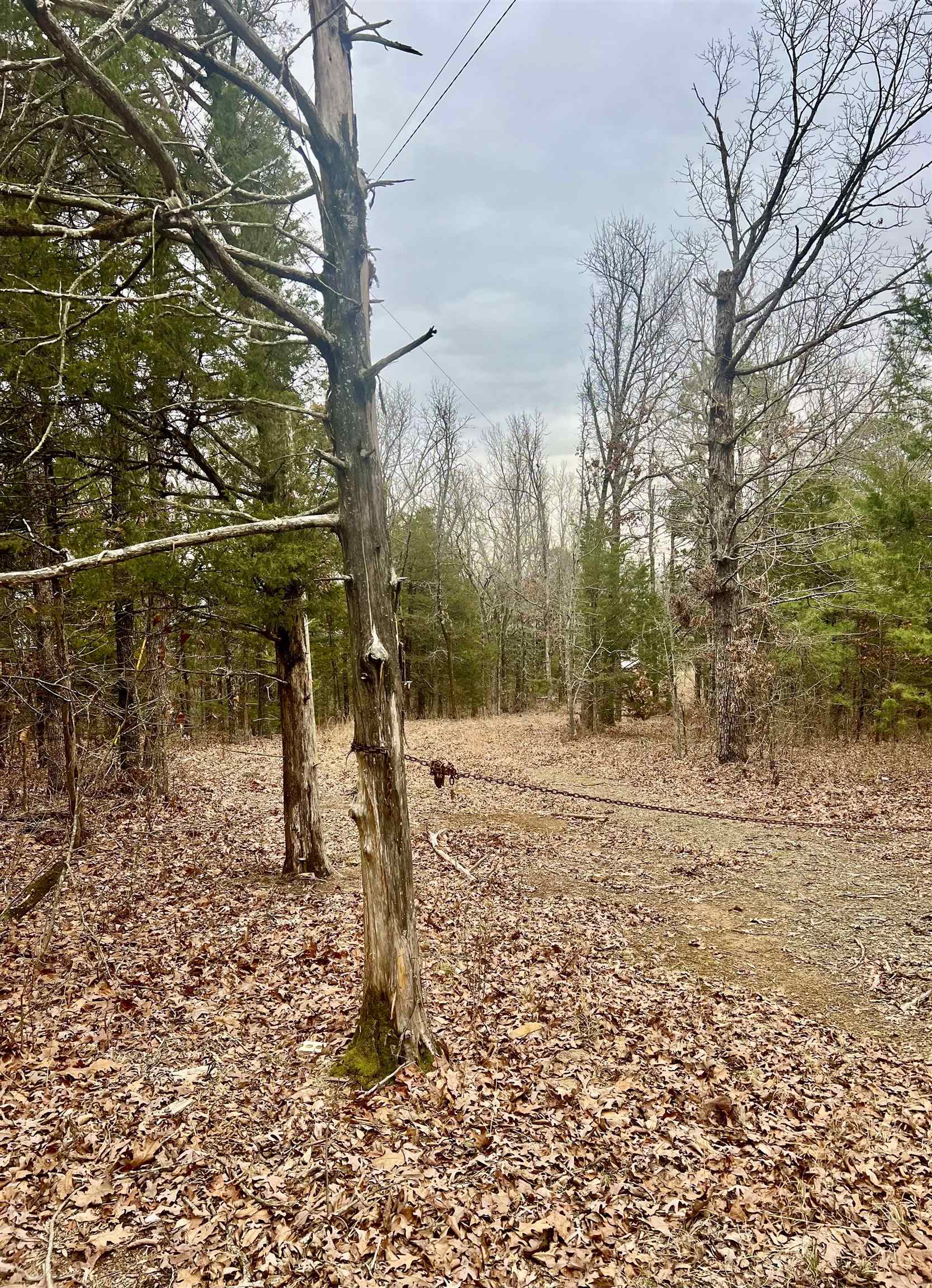 Metes & Bounds - Land