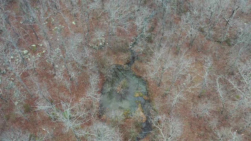 Over 60 Acres of mature timber, free flowing creeks, ponds and wildlife that hasn't been hunted by current owners in over 20 years.  multiple wells on property. Has power out to an home stead.  Home and buildings will convey only as acreage.   Legal access & good road to the heart of the property.  There is another 48.65 acres m/l for sale that borders the property. A total of 116 acres could be bought if bought together.  ALL Owners Mineral Rights Will Convey! MLS #19038645