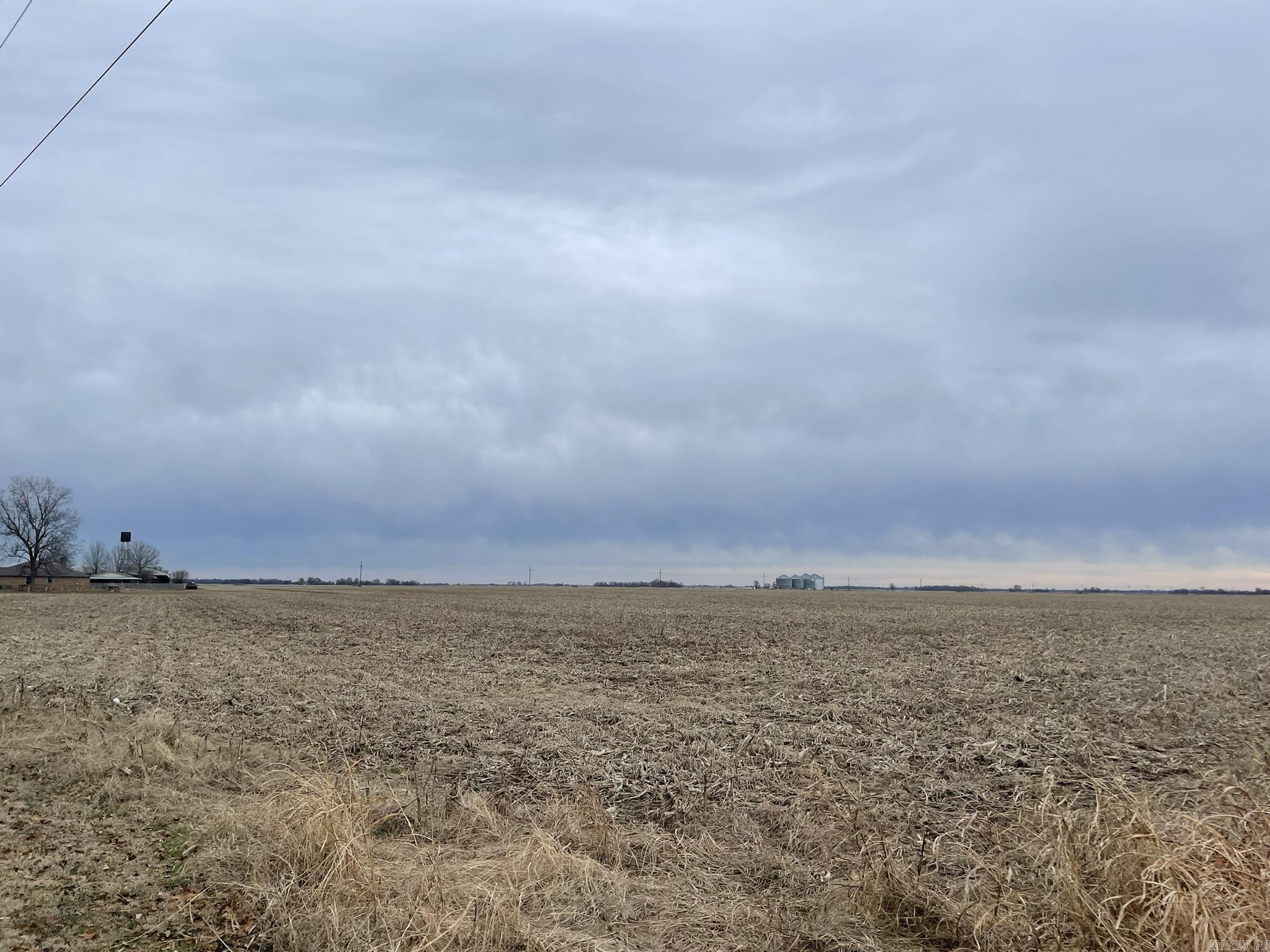 +/- 89 irrigated, precision-leveled cropland acres. 16" well with risers. Corn and soybean rotation. Soils are mostly Class II silt loam and sandy loam with a NCCPI rating of 73.2 Tract 4 of 5 for sale.