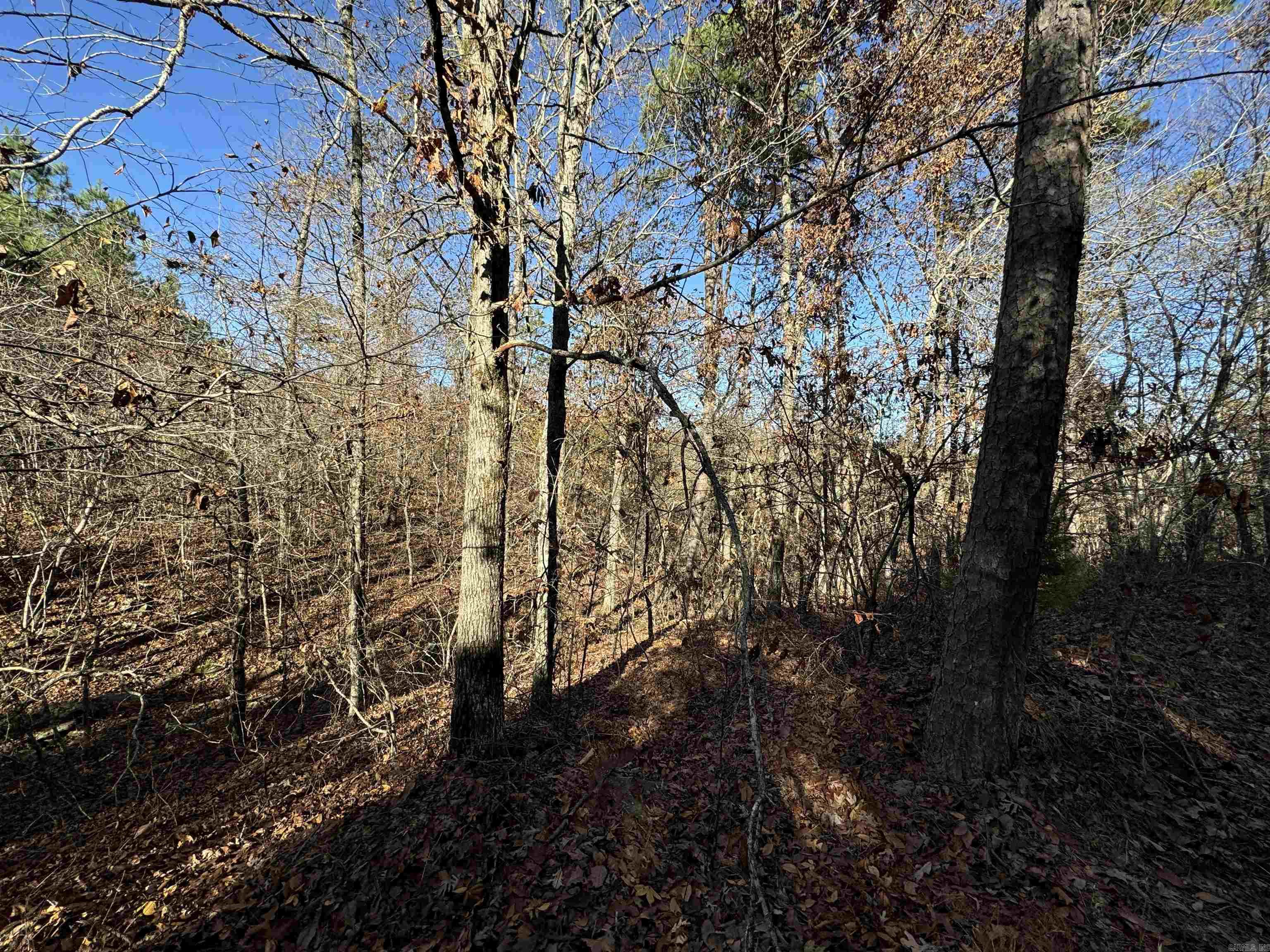 Metes & Bounds - Land