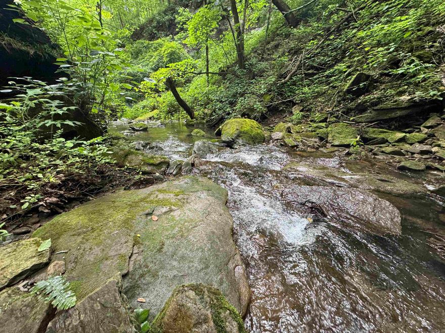 PRICE IMPROVEMENT! 92.9 +/- acres of surveyed pasture, plantation pine, and native hardwoods conveniently located on Calico Road (paved) just West of Clinton, Arkansas in Van Buren County. There is public water service, electric, and high speed internet available. The property consists of 26 +/- acres of excellent pasture, 32 +/- acres of pine, and approximately 35 acres of native hardwoods. There is an incredible creek on this property as well as small spring in the pine trees. I have personally killed a deer on this property with both bears and turkey also being harvested over the years as seen in the pictures. Whether you're looking for a mixed-use recreational tract, small cattle/horse farm, place to build a home, or a combination this tract will check the boxes. Seller will owner finance.