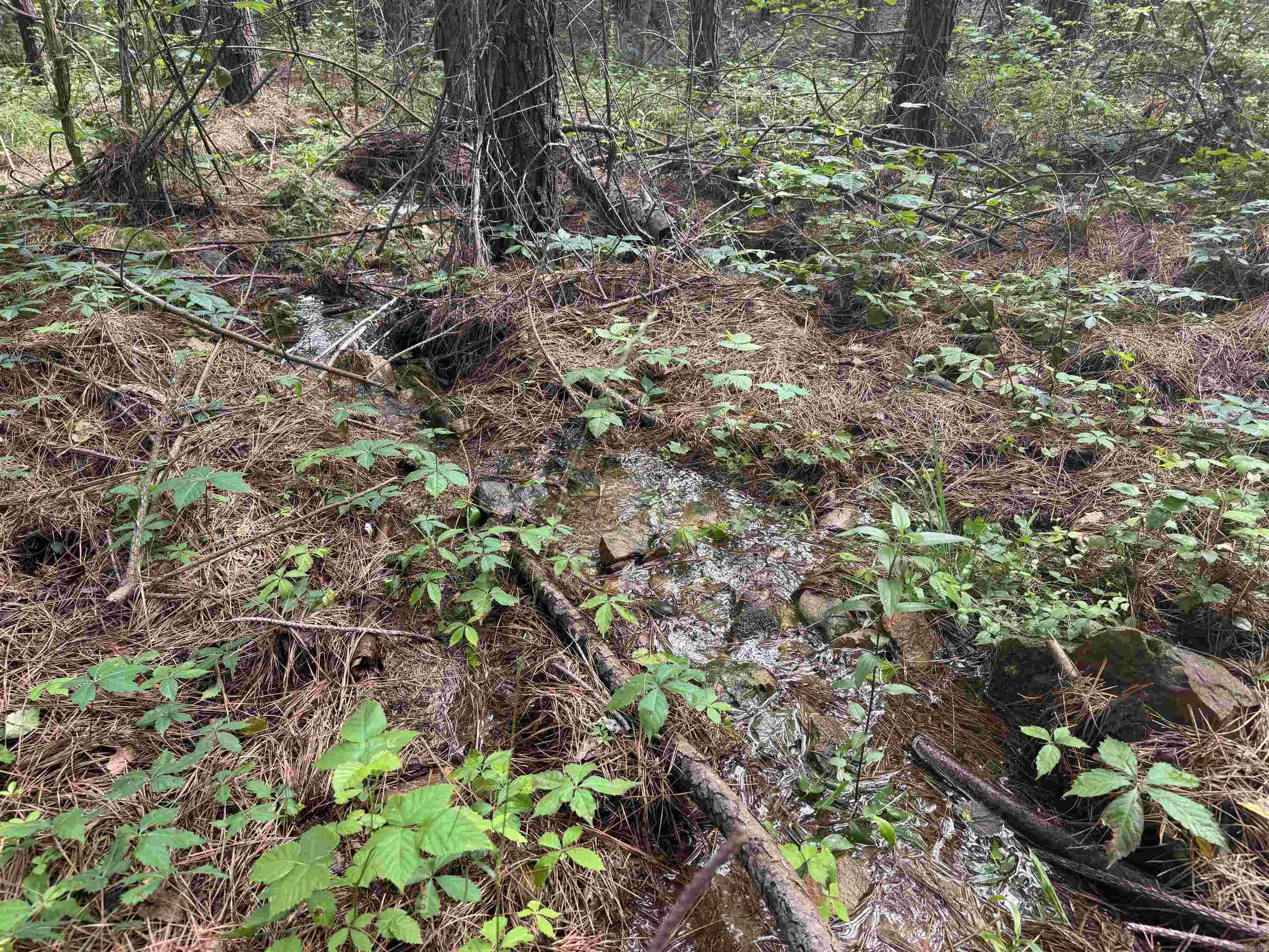 Metes & Bounds - Land