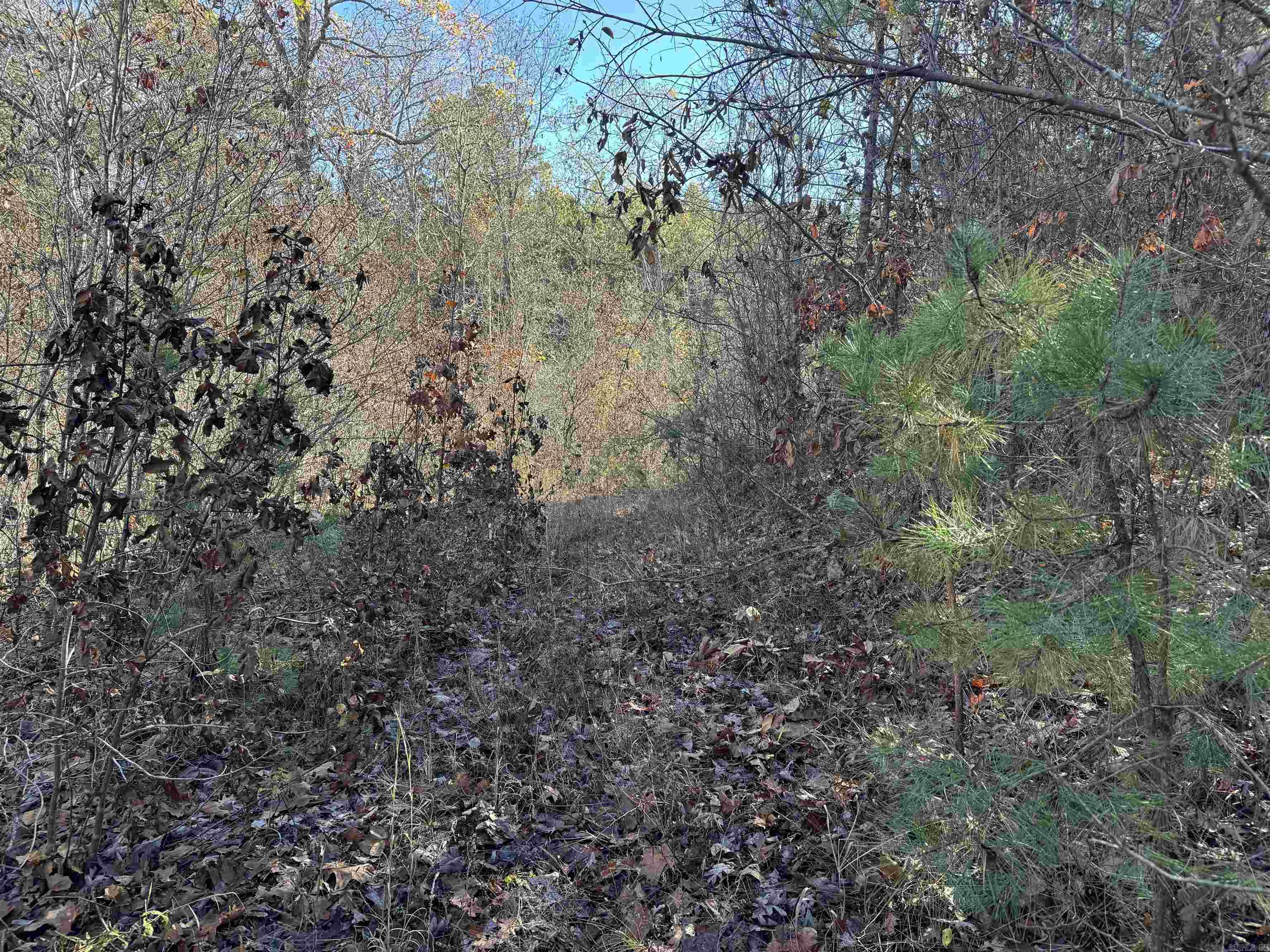 Metes & Bounds - Land