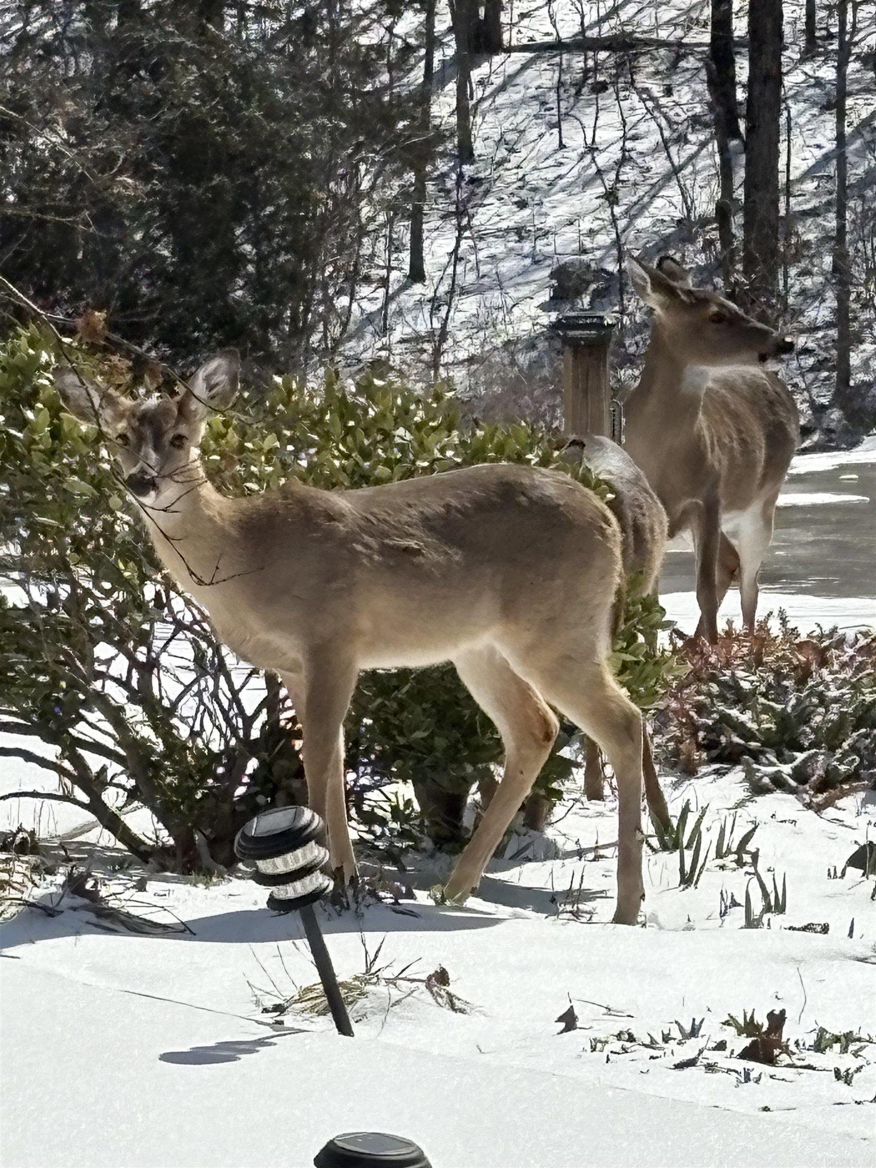Hays Hill - Residential