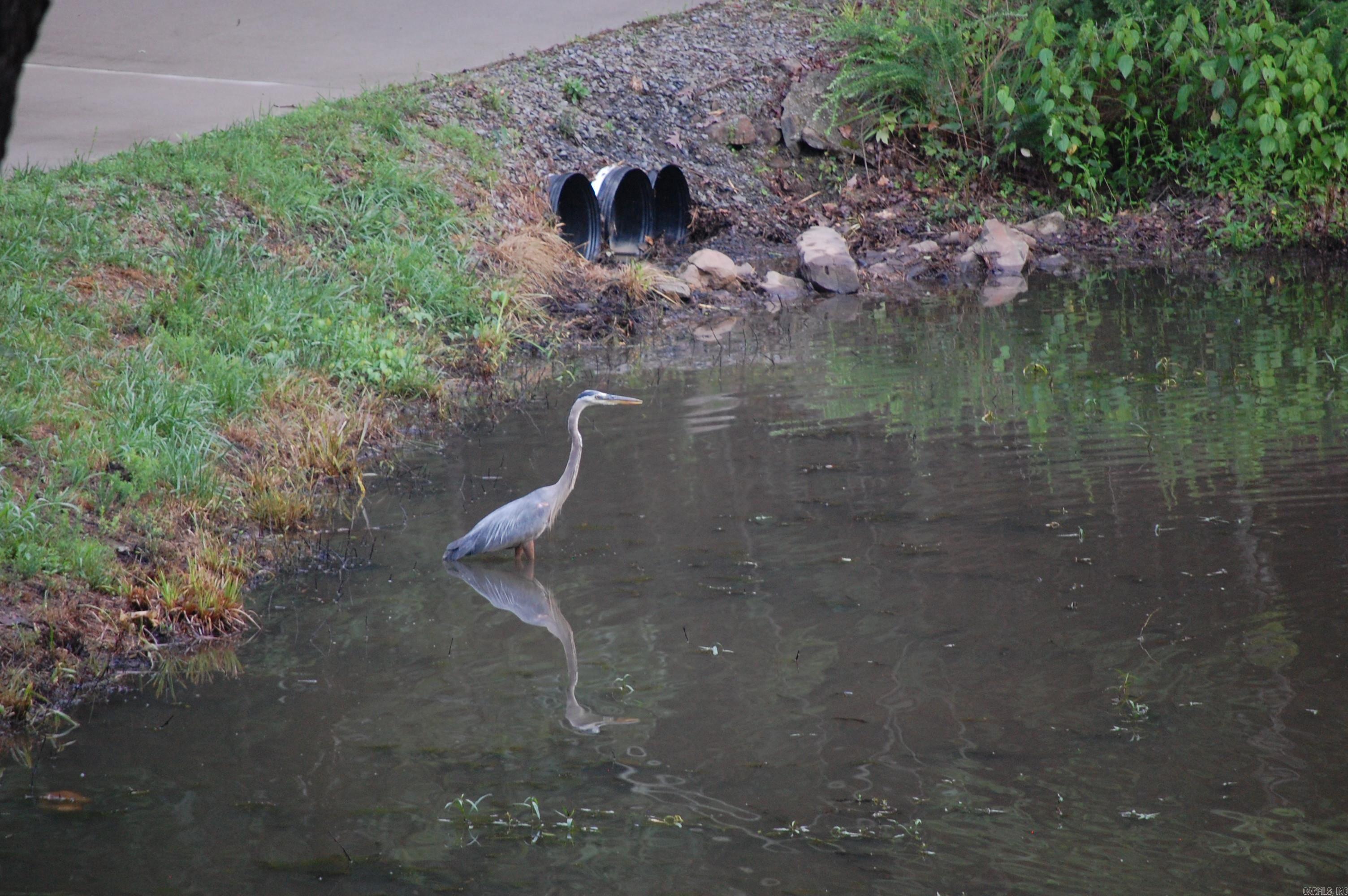 Hays Hill - Residential