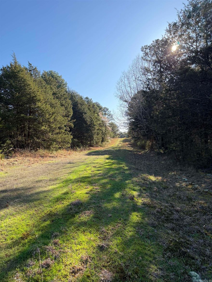 Prime Development Opportunity in Heber Springs, AR.  Half of an subdivision with 38 fully platted larger lots ready for immediate construction. Roads are cut, and culverts installed—minimal site work needed. Utilities next and are available including sewer locations on East and West sides. Perfect for a builder in this high-demand lake-area. Priced as a steal—don’t miss this shovel-ready gem!