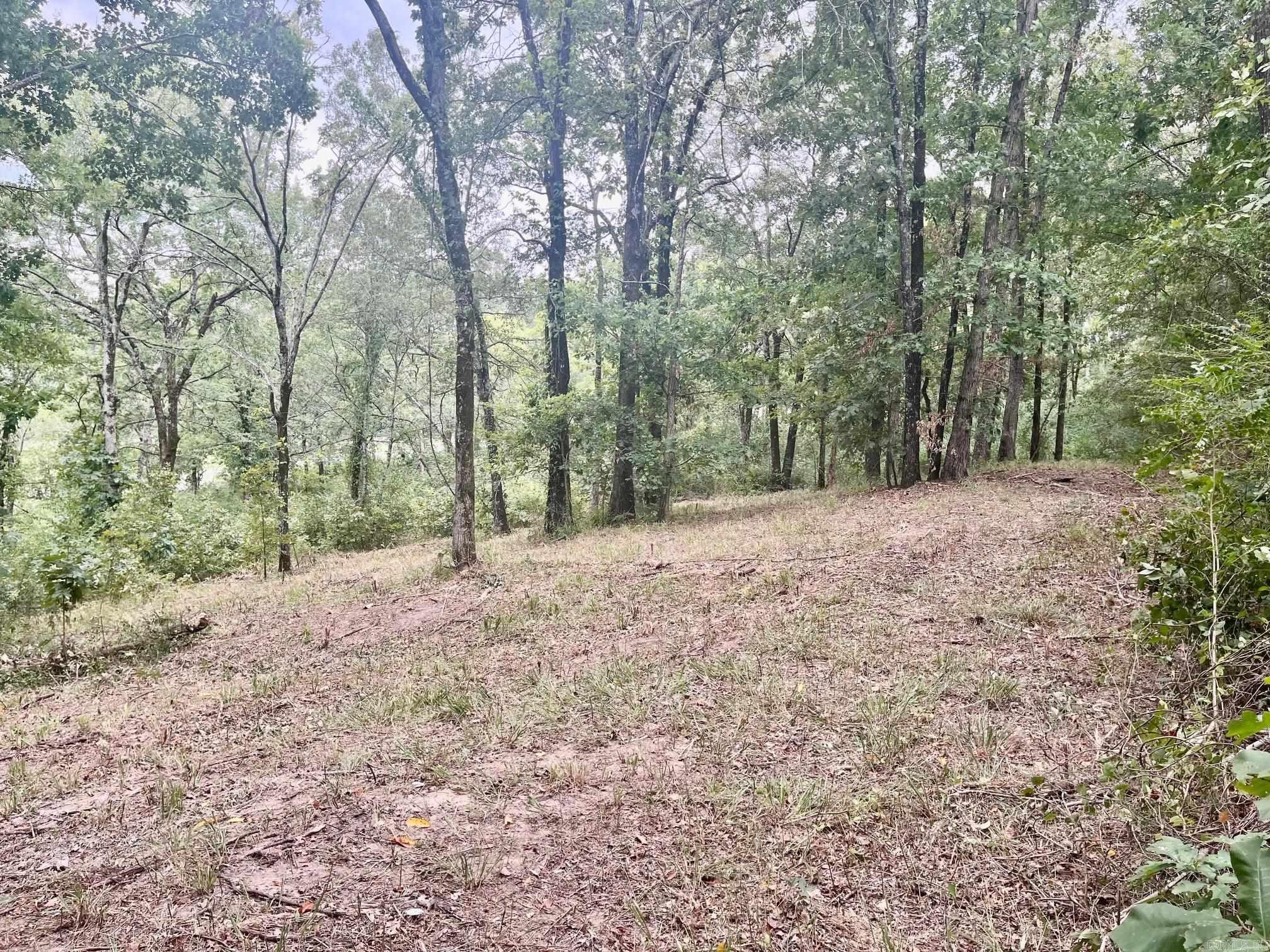 Hot Springs Unplatted - Commercial Sale