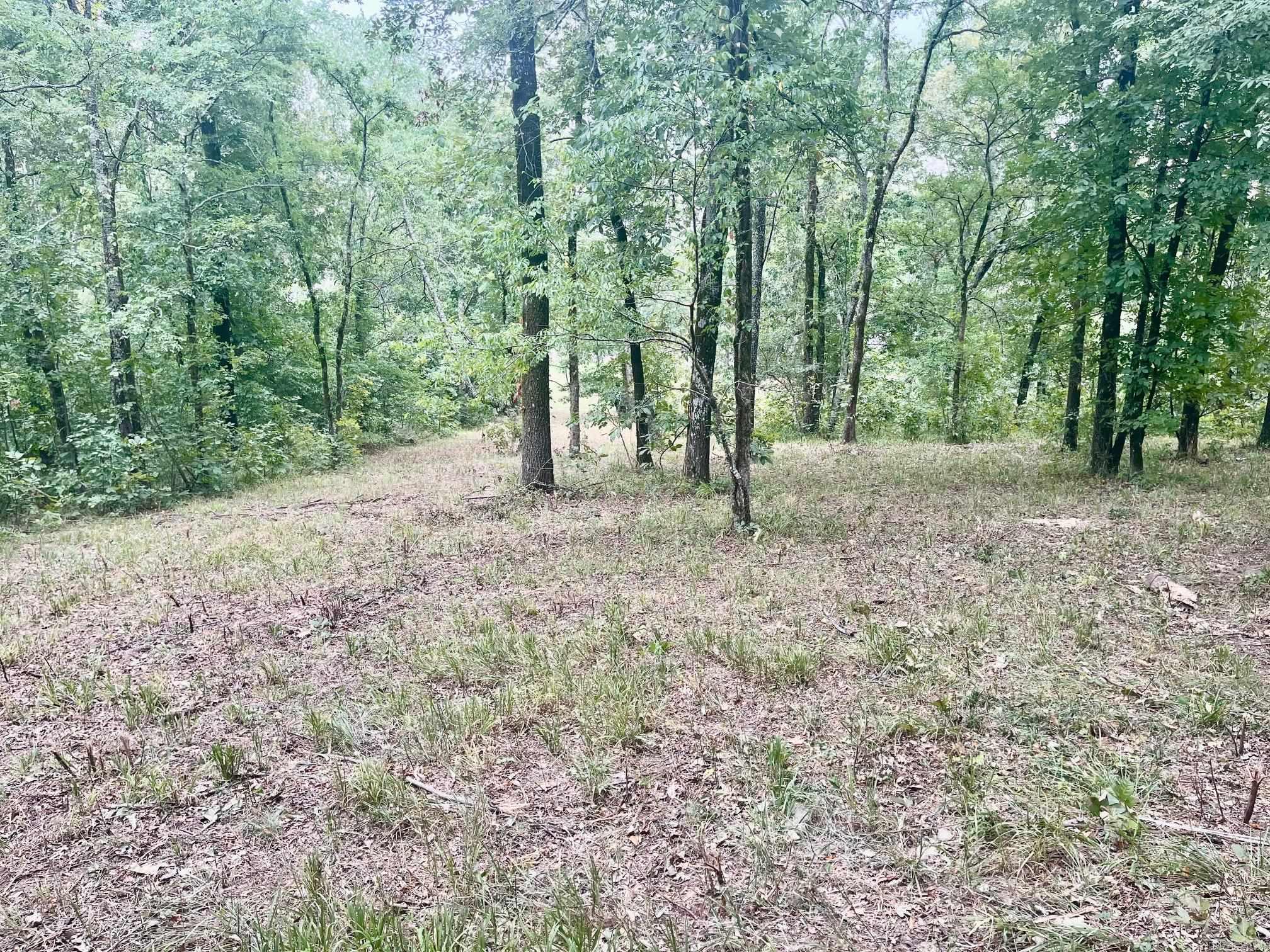 Hot Springs Unplatted - Commercial Sale
