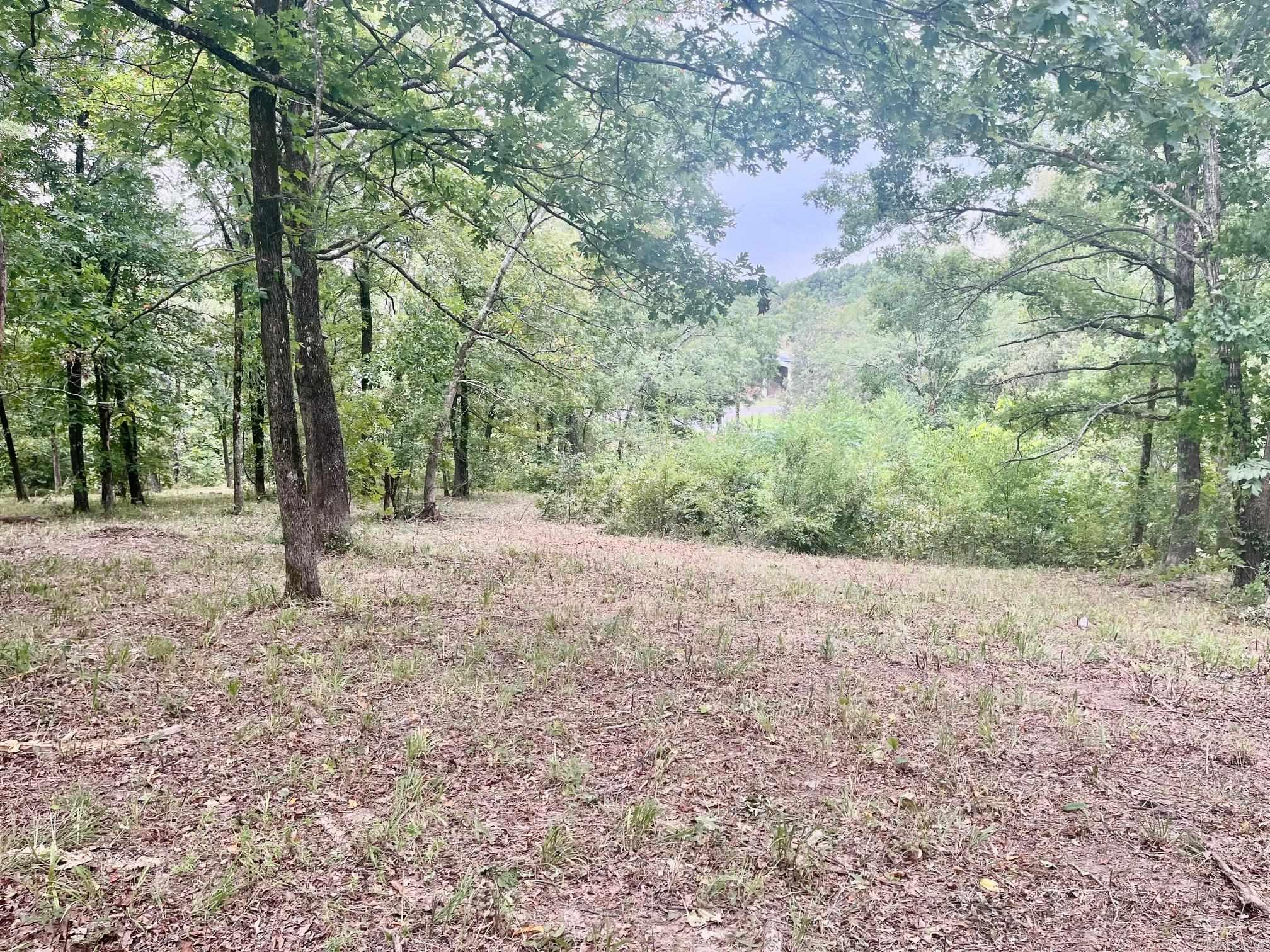 Hot Springs Unplatted - Commercial Sale