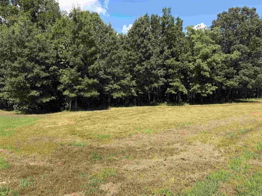 100 CADDY COVE LN, MOUNTAIN VIEW, AR 72560 - Image 92a0f762e76a5b95ef5e32d8d7b82a97/1136352858