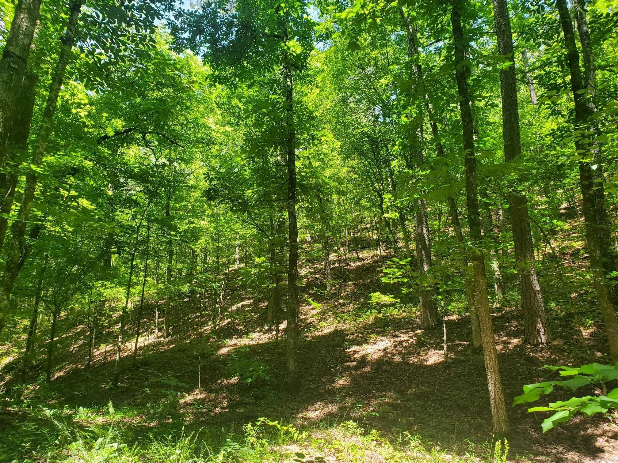 BIG FORK AREA - Residential