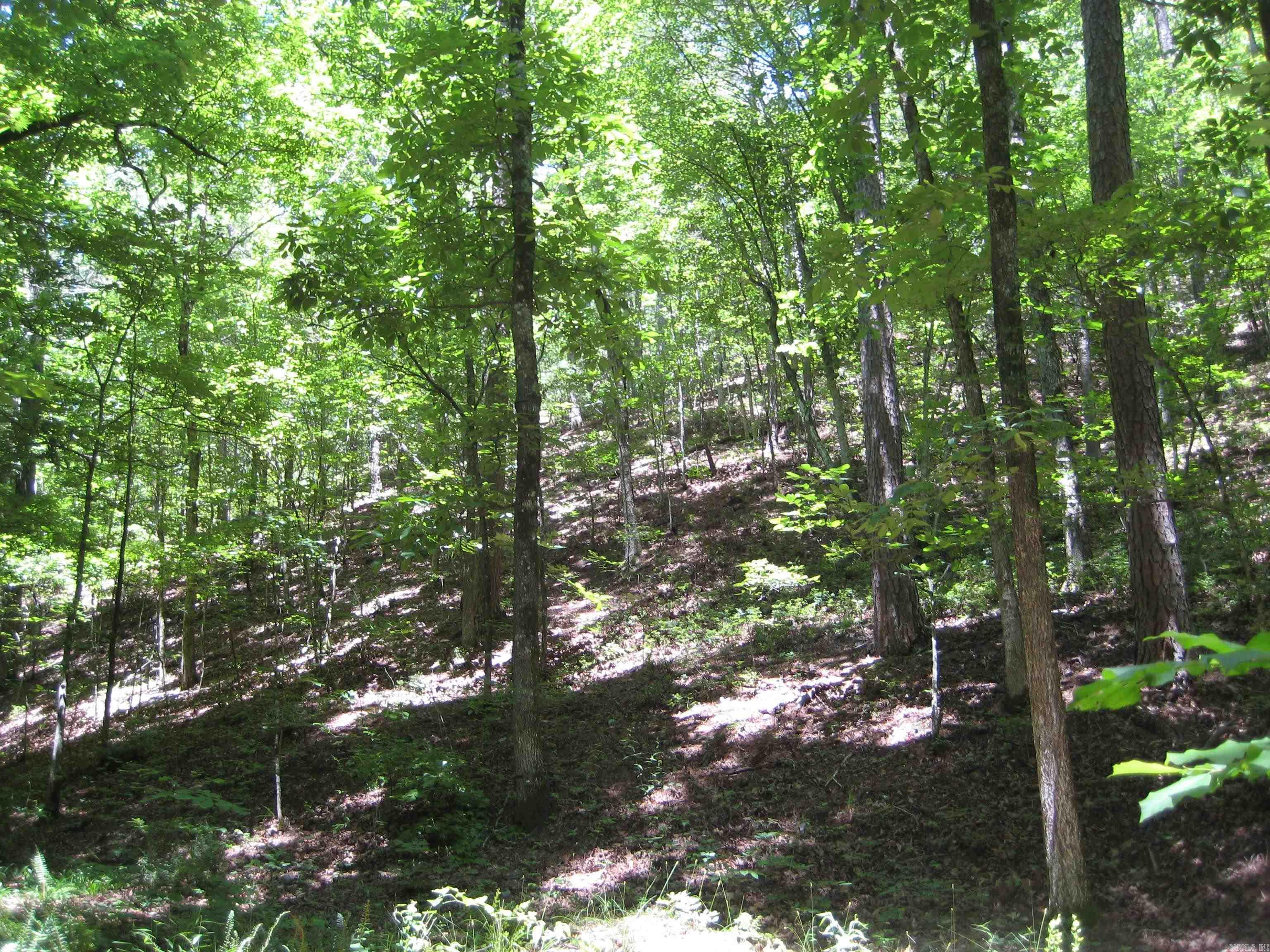 BIG FORK AREA - Residential