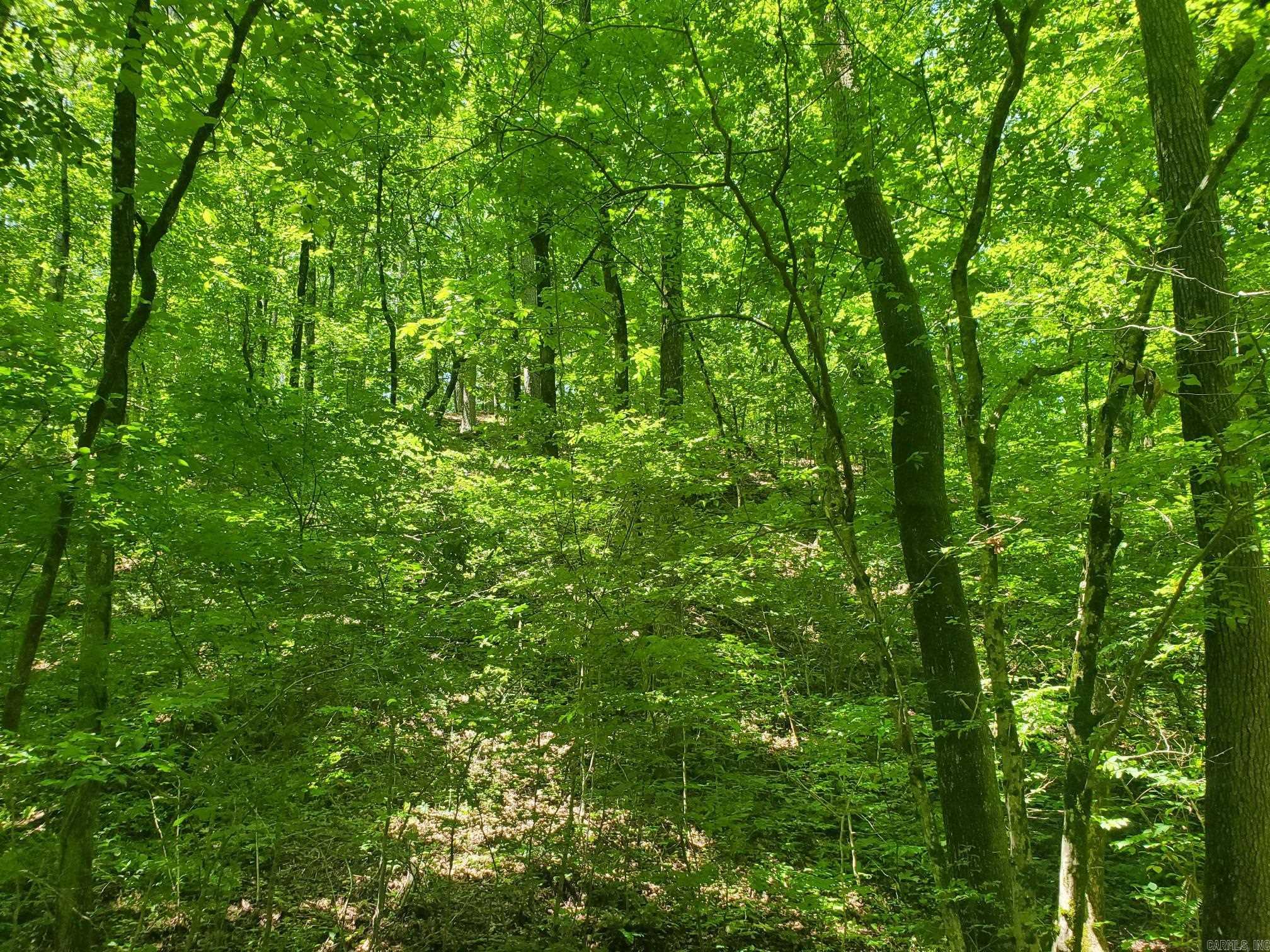 BIG FORK AREA - Residential