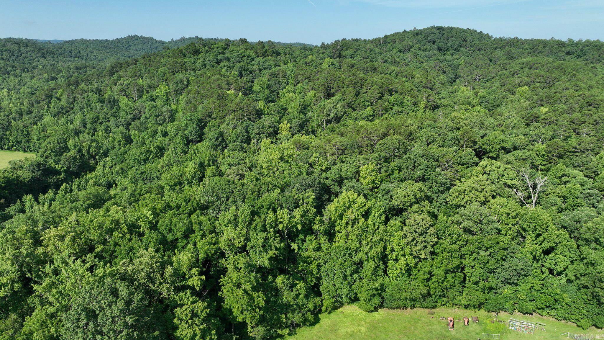 BIG FORK AREA - Residential