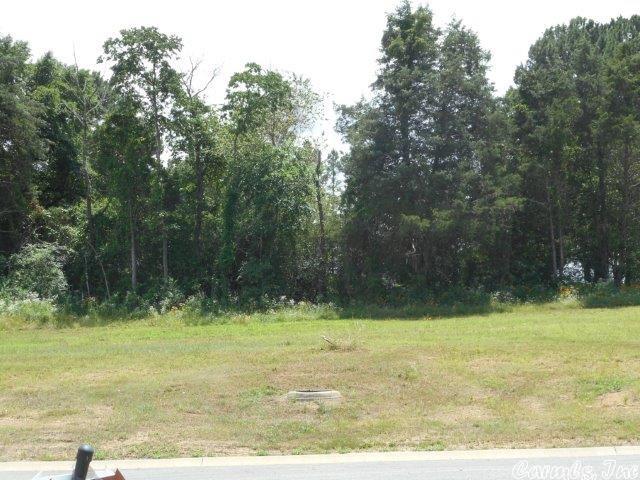 Saddlebrook Estates - Land