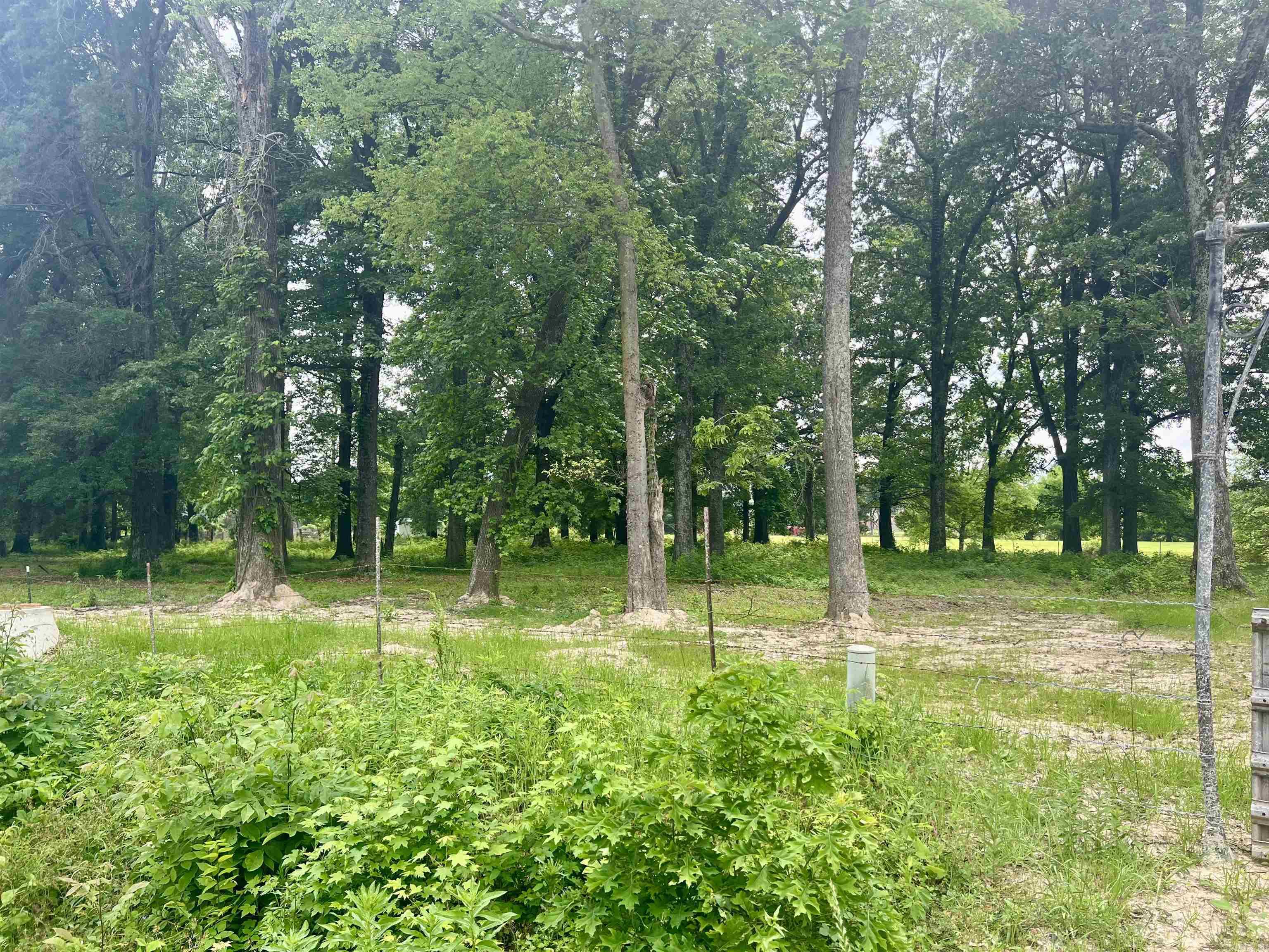 **Prime 3.09 Acre Vacant Land in City Limits**  Discover the perfect blend of tranquility and convenience with this exceptional 3.09-acre vacant lot located within city limits. This fully fenced property offers a serene setting for your dream home or investment. With mature trees providing natural beauty and shade, this parcel combines the best of both worlds, offering a peaceful retreat with the benefits of city living. Additionally, the land is easily accessible via Purcell Road, ensuring convenience for any future development. Even better, there is 3-phase AC electric already on the property! Don’t miss this rare opportunity to own a versatile piece of land.