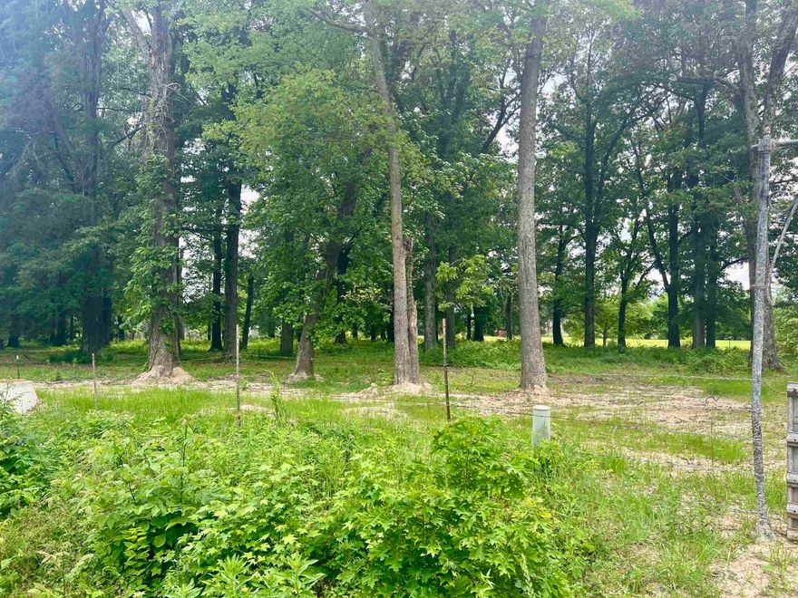 **Prime 3.09 Acre Vacant Land in City Limits**  Discover the perfect blend of tranquility and convenience with this exceptional 3.09-acre vacant lot located within city limits. This fully fenced property offers a serene setting for your dream home or investment. With mature trees providing natural beauty and shade, this parcel combines the best of both worlds, offering a peaceful retreat with the benefits of city living. Additionally, the land is easily accessible via Purcell Road, ensuring convenience for any future development. Even better, there is 3-phase AC electric already on the property! Don’t miss this rare opportunity to own a versatile piece of land.