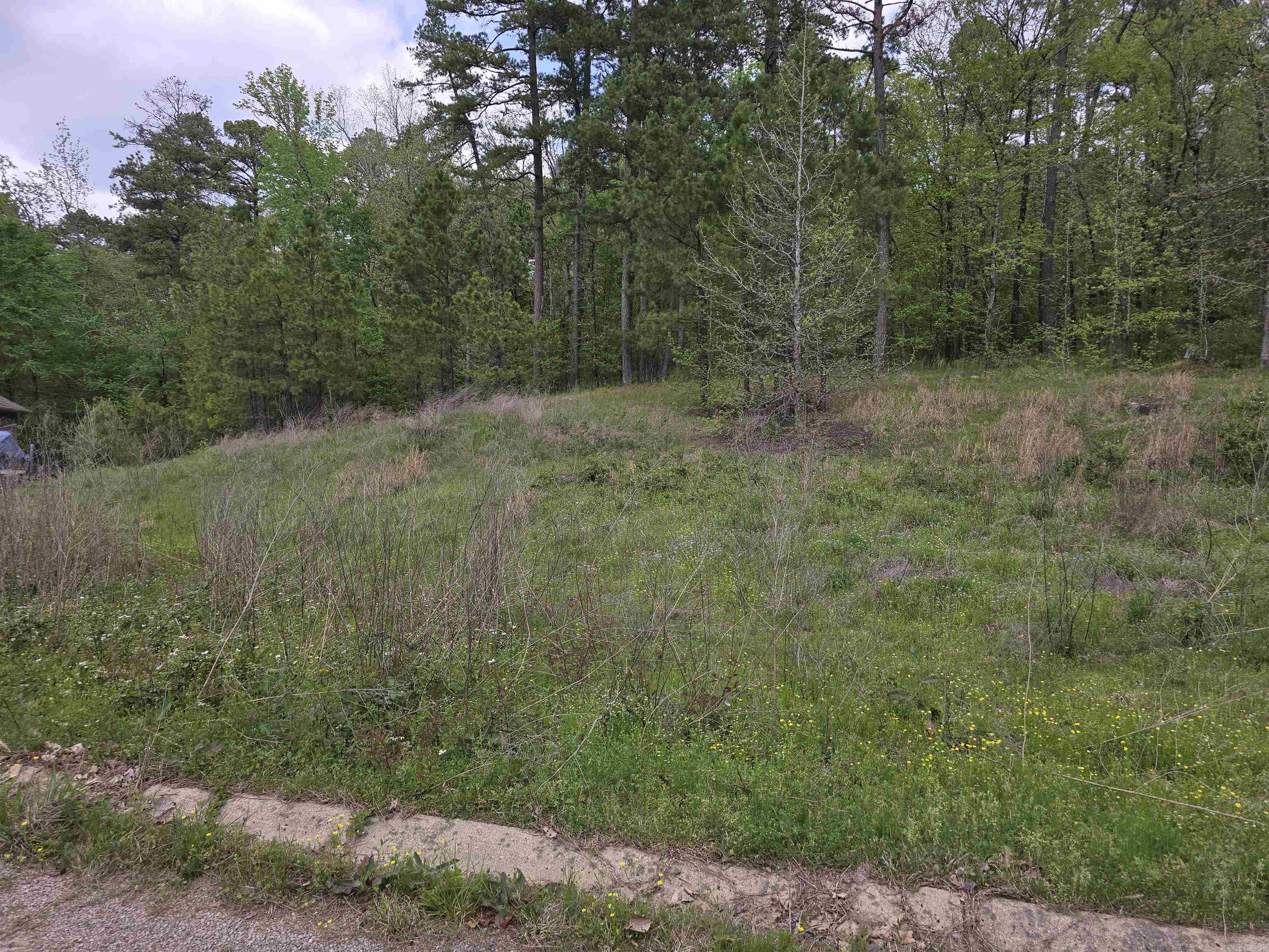 This lot is a builder's dream..In upscale neighborhood and the price is right! Located in Diamondhead Resort Community & Lakeside schools. The location is everything, lake access, golfing, community pool & library, tennis, pickleball & basketball, community activities and lots of friendly neighbors Contact listing agent for builder information.
