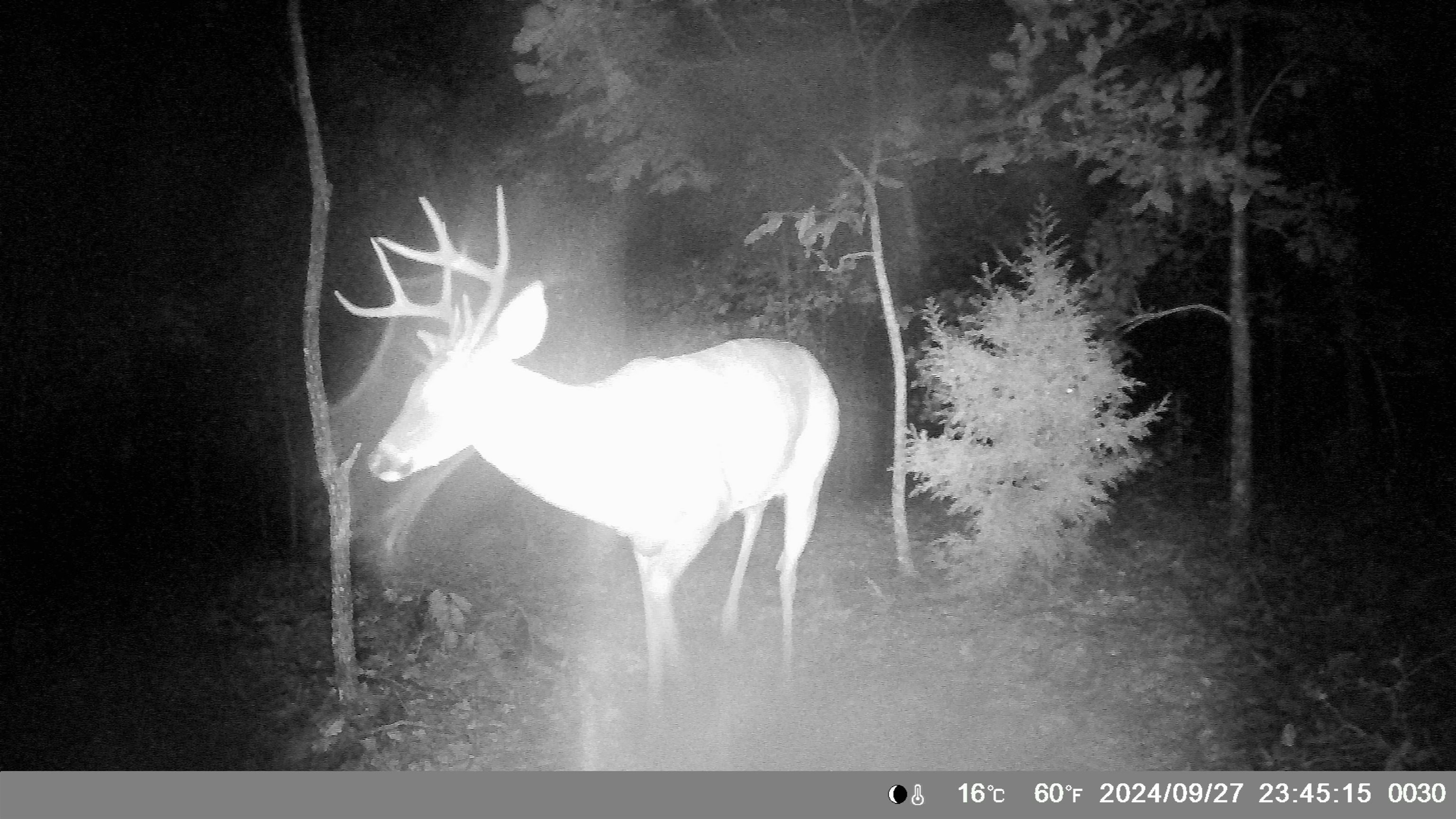 White Horse Mountain - Residential