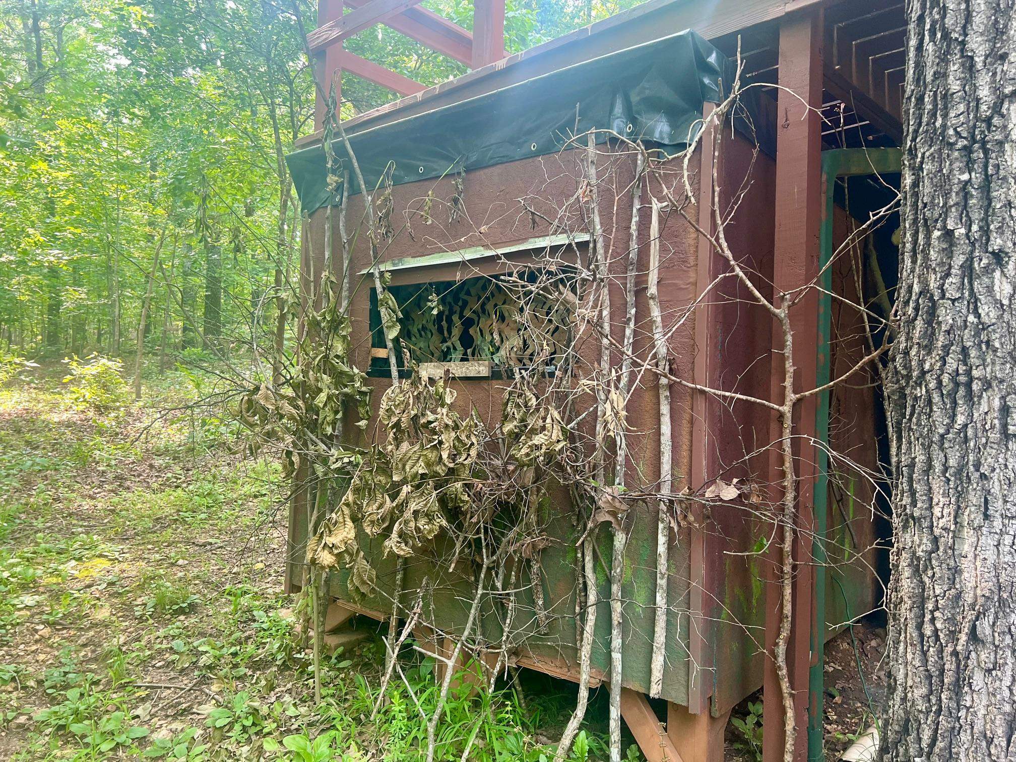White Horse Mountain - Residential