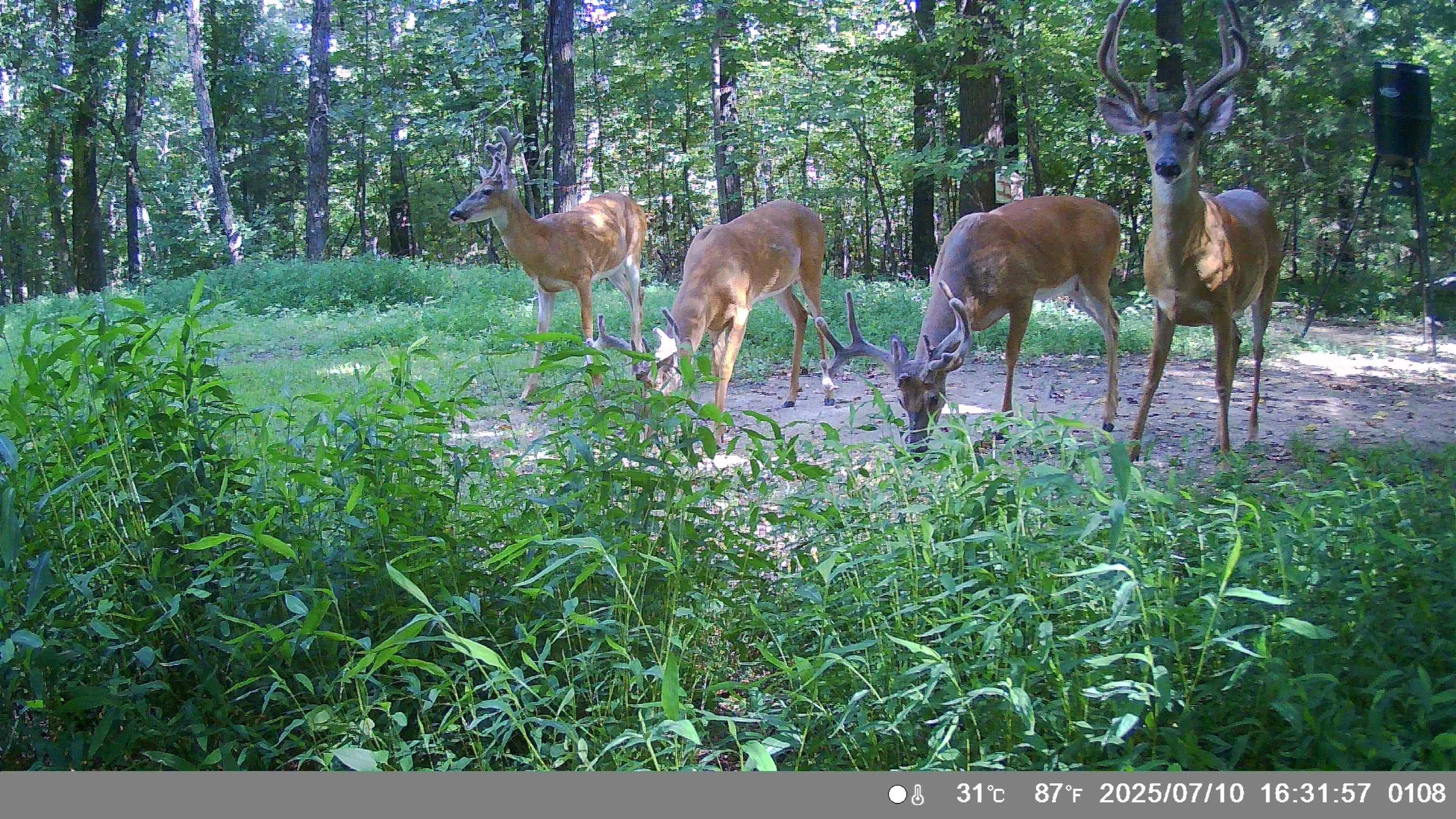 White Horse Mountain - Residential