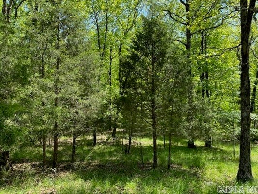 W 35TH ST, LITTLE ROCK, AR 72204 - Image 92c9e00e978aafbd6f5facbf0c3e3eda/3485135817