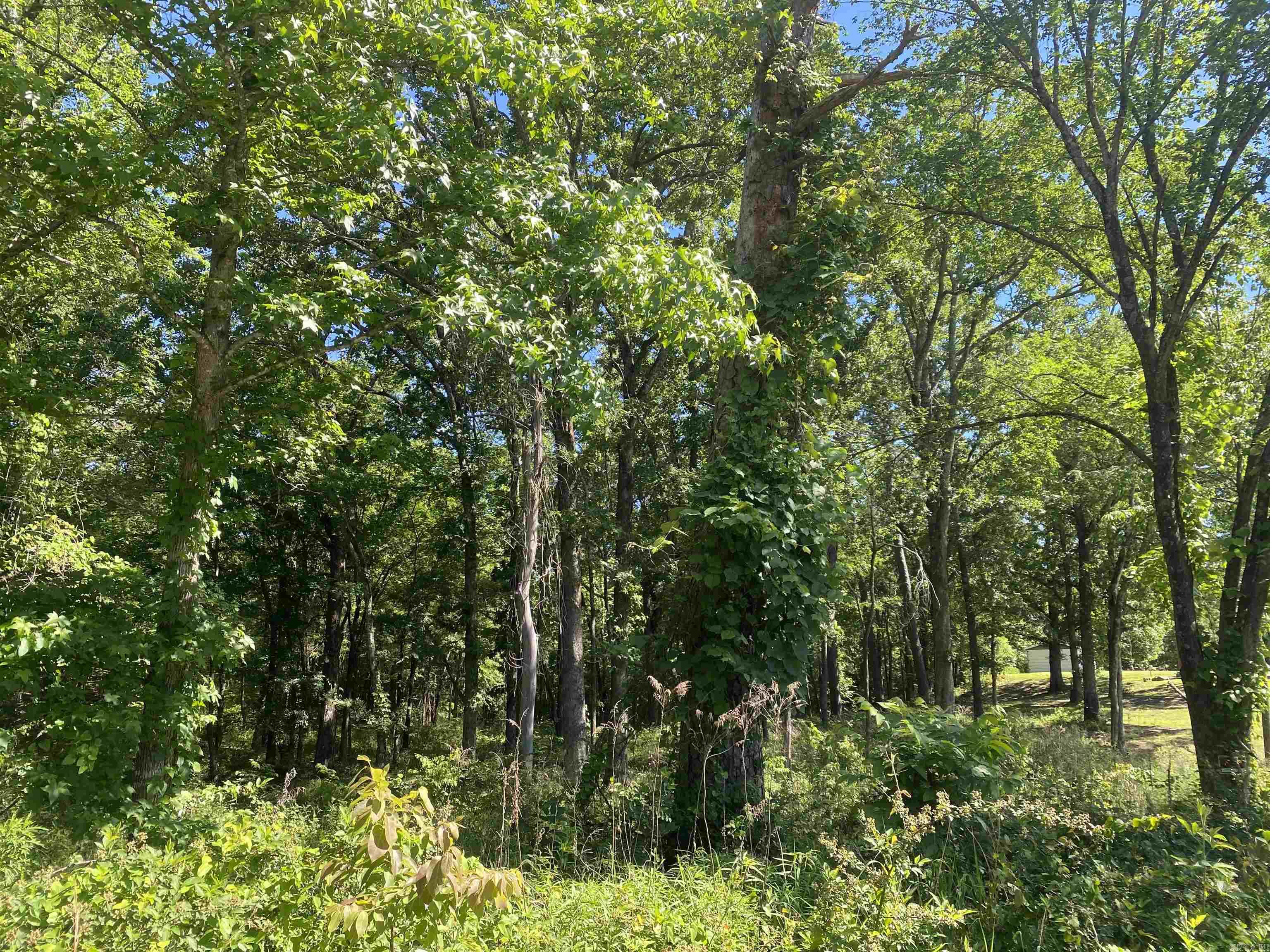 Mount Ida City Acreage - Land