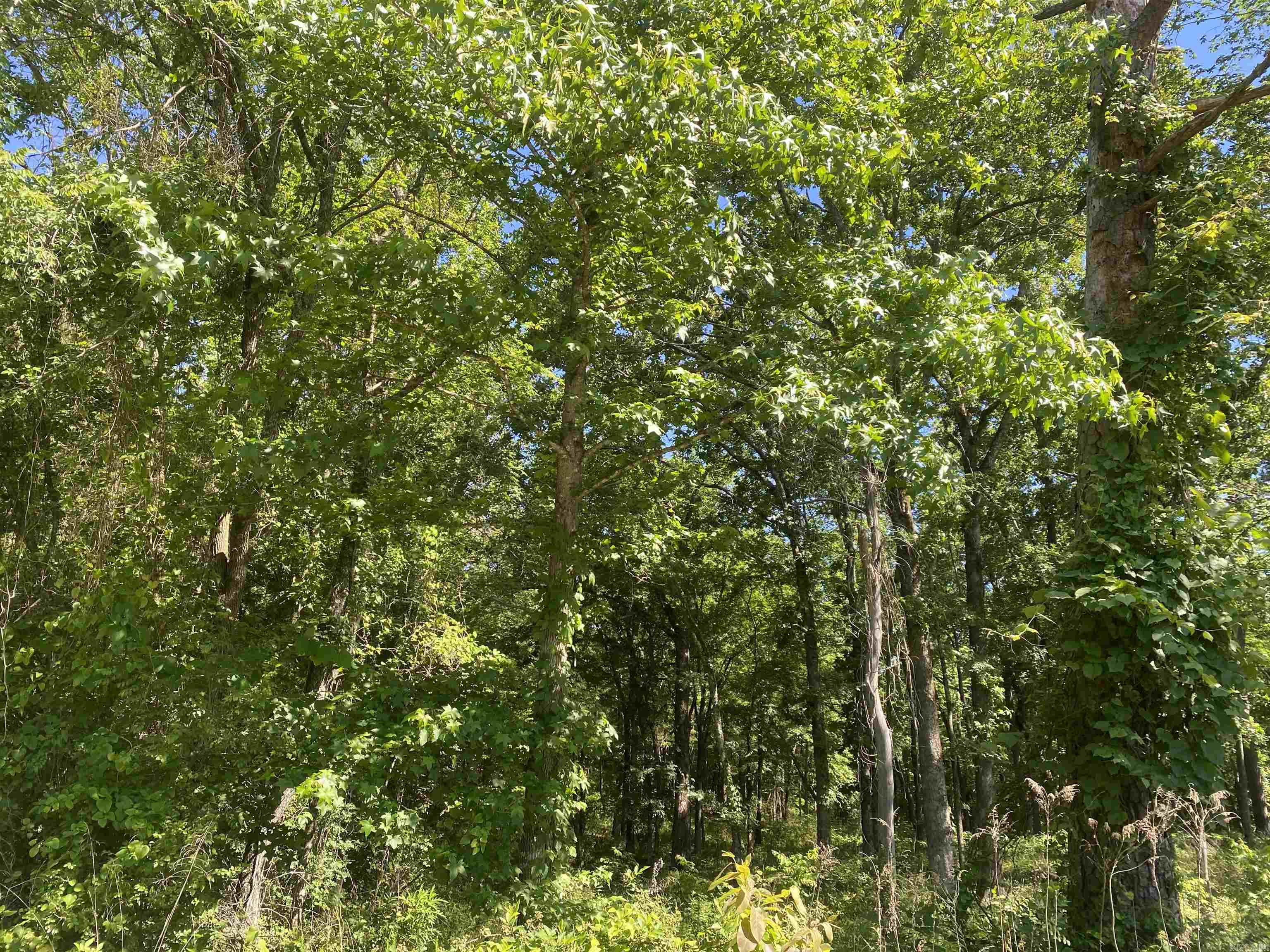 Mount Ida City Acreage - Land
