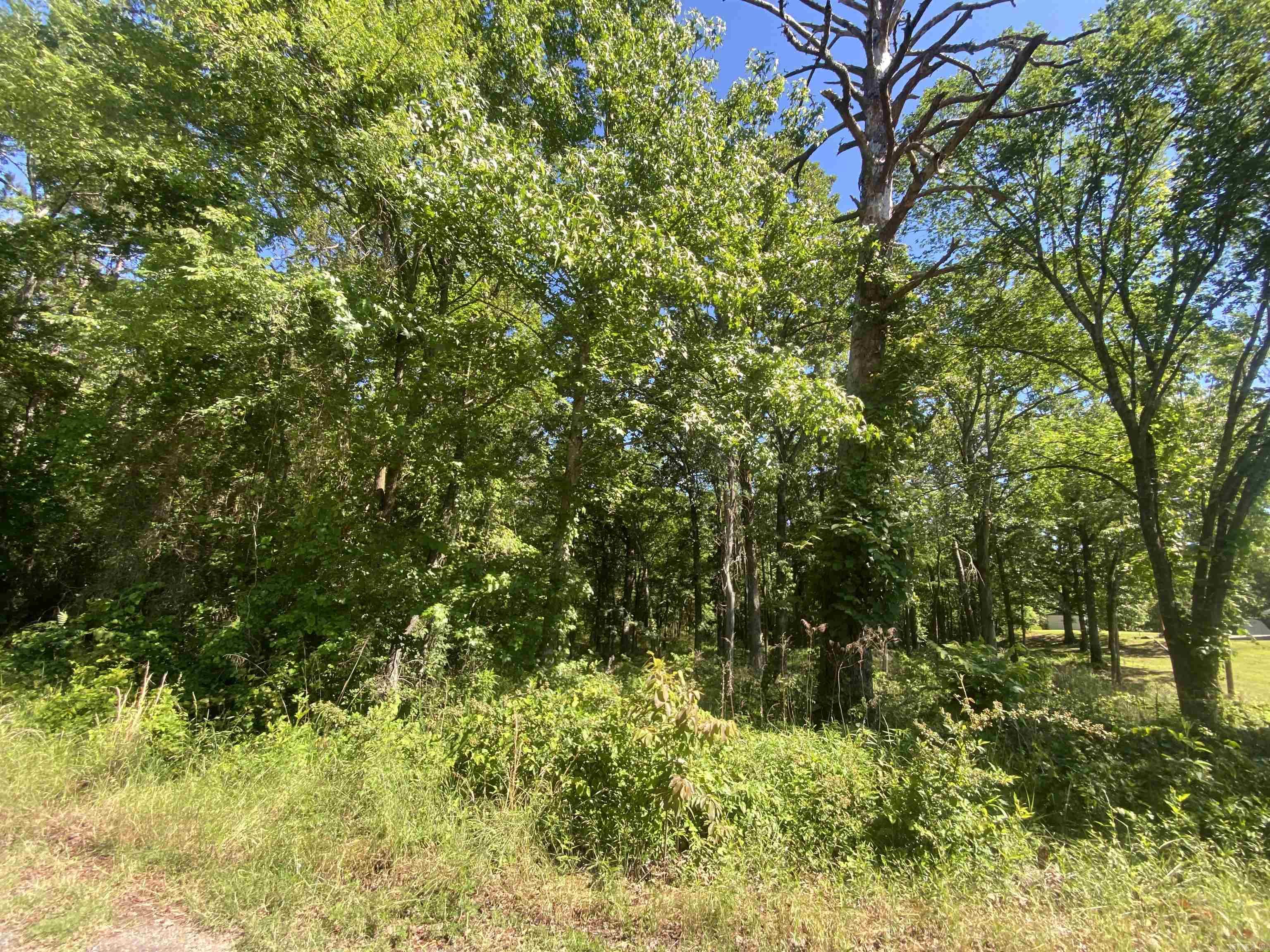 Mount Ida City Acreage - Land