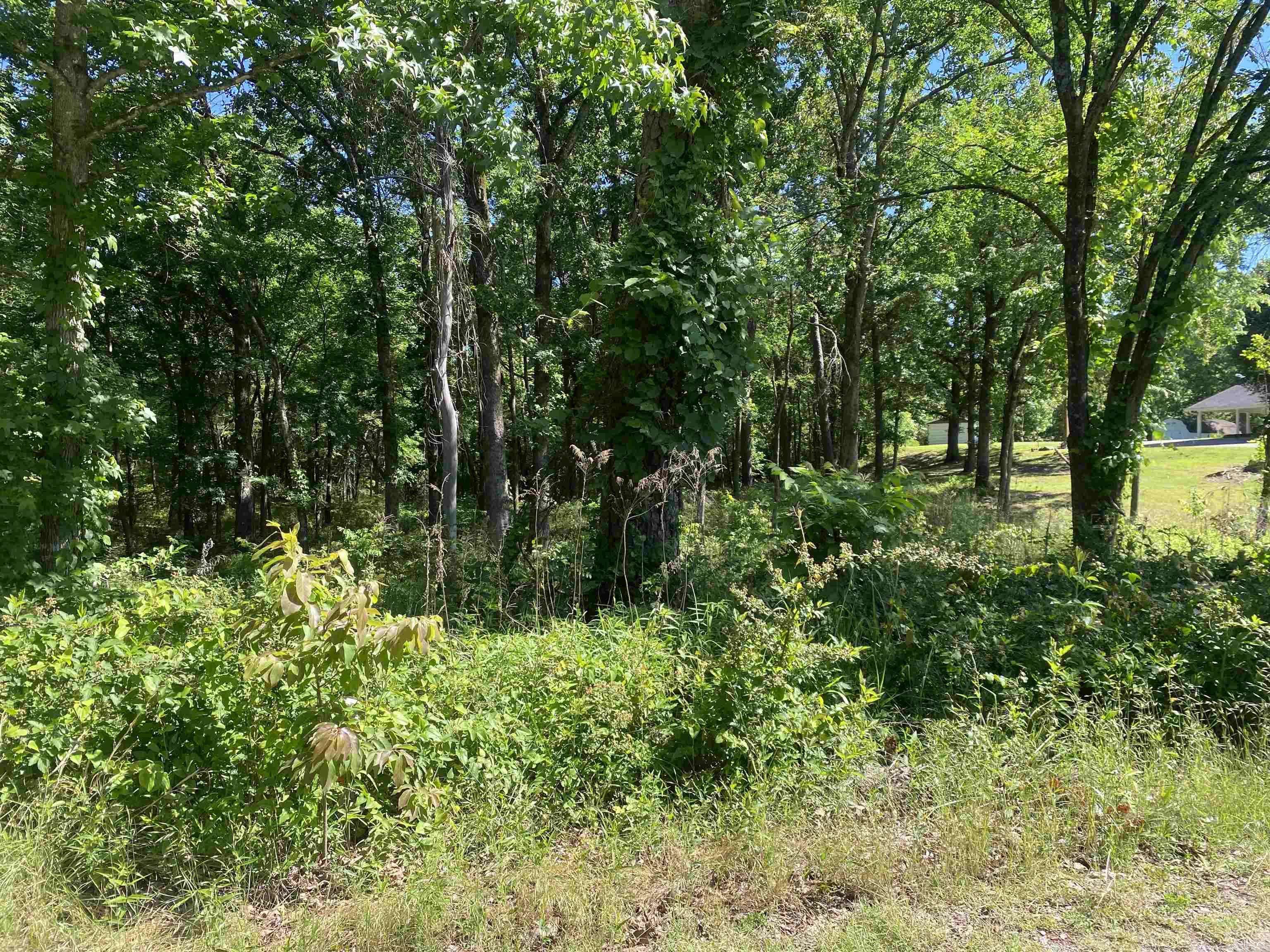Mount Ida City Acreage - Land