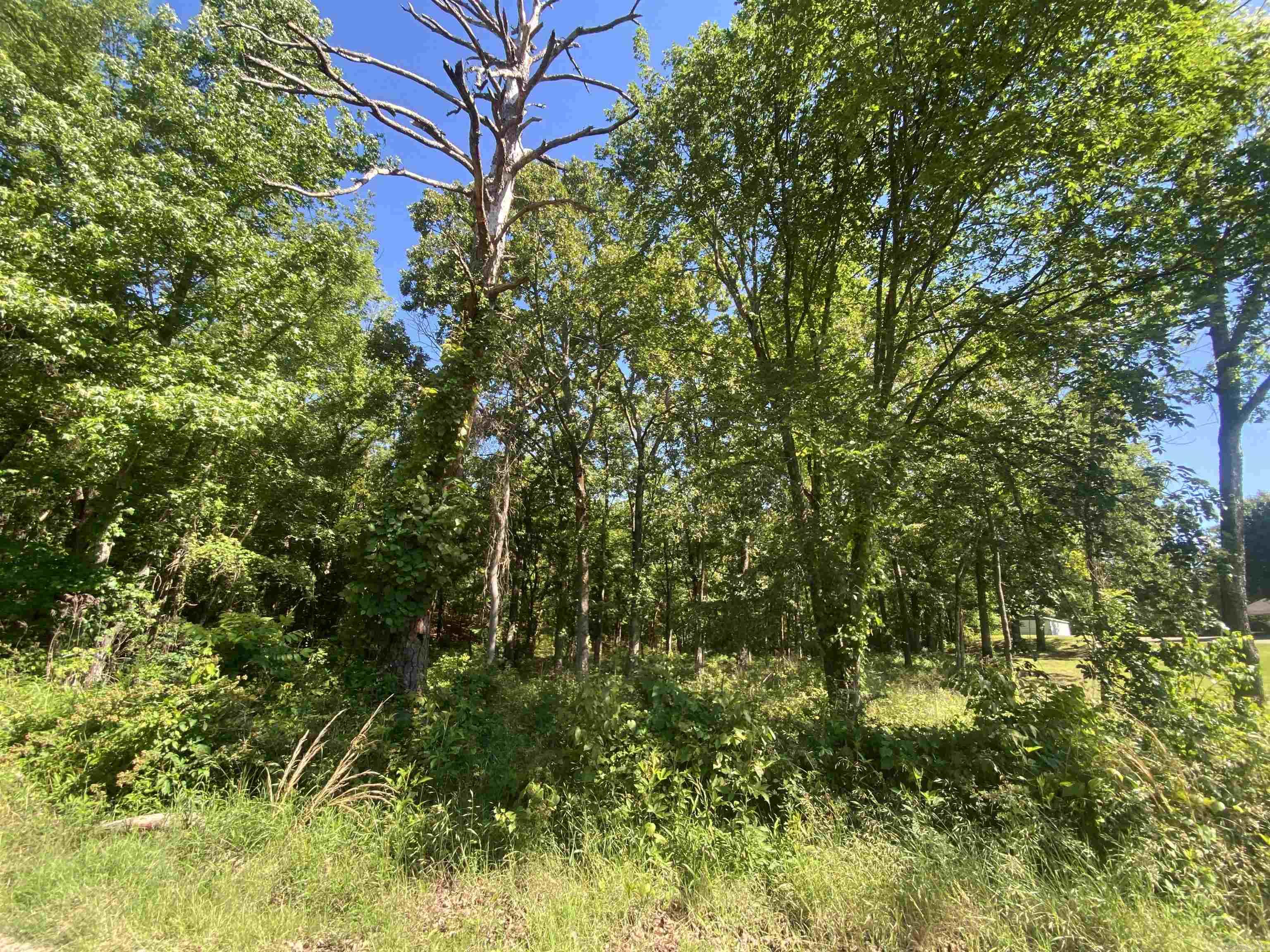 Mount Ida City Acreage - Land
