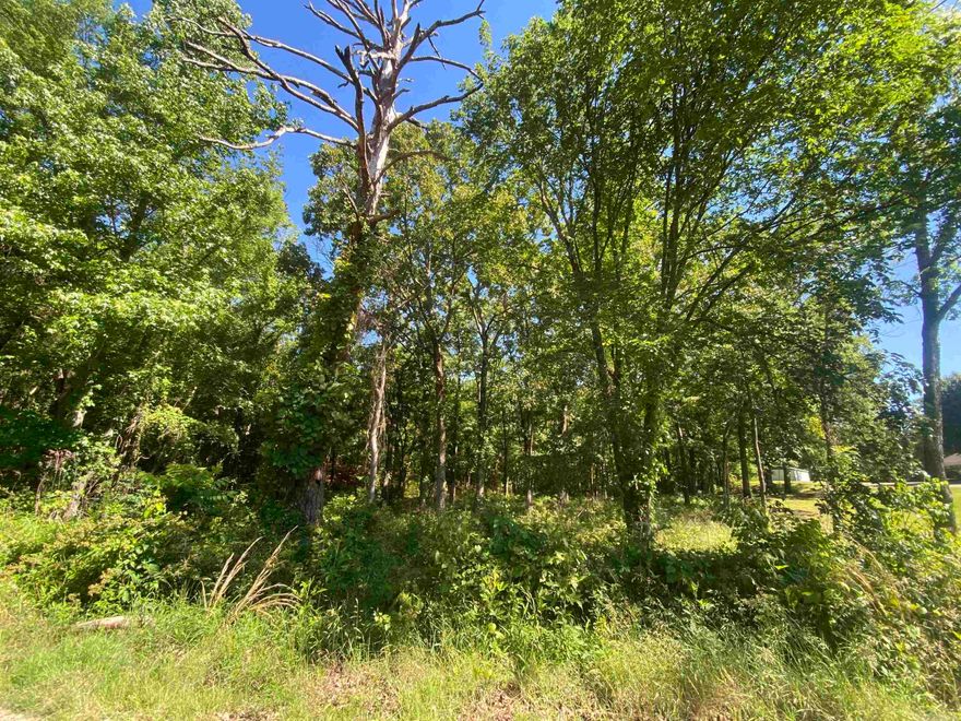 Vacant, undeveloped land in Mount Ida.  Make your home base Mount Ida.  Build your dream home or split the property up for all your family to live nearby.  Some city utilities available.  Entrances to the property off of Golden Road or Housing Authority Drive.  Several building sites or subdivide to make your own rules for the property.  Listed at $128,860.00.  Call today.