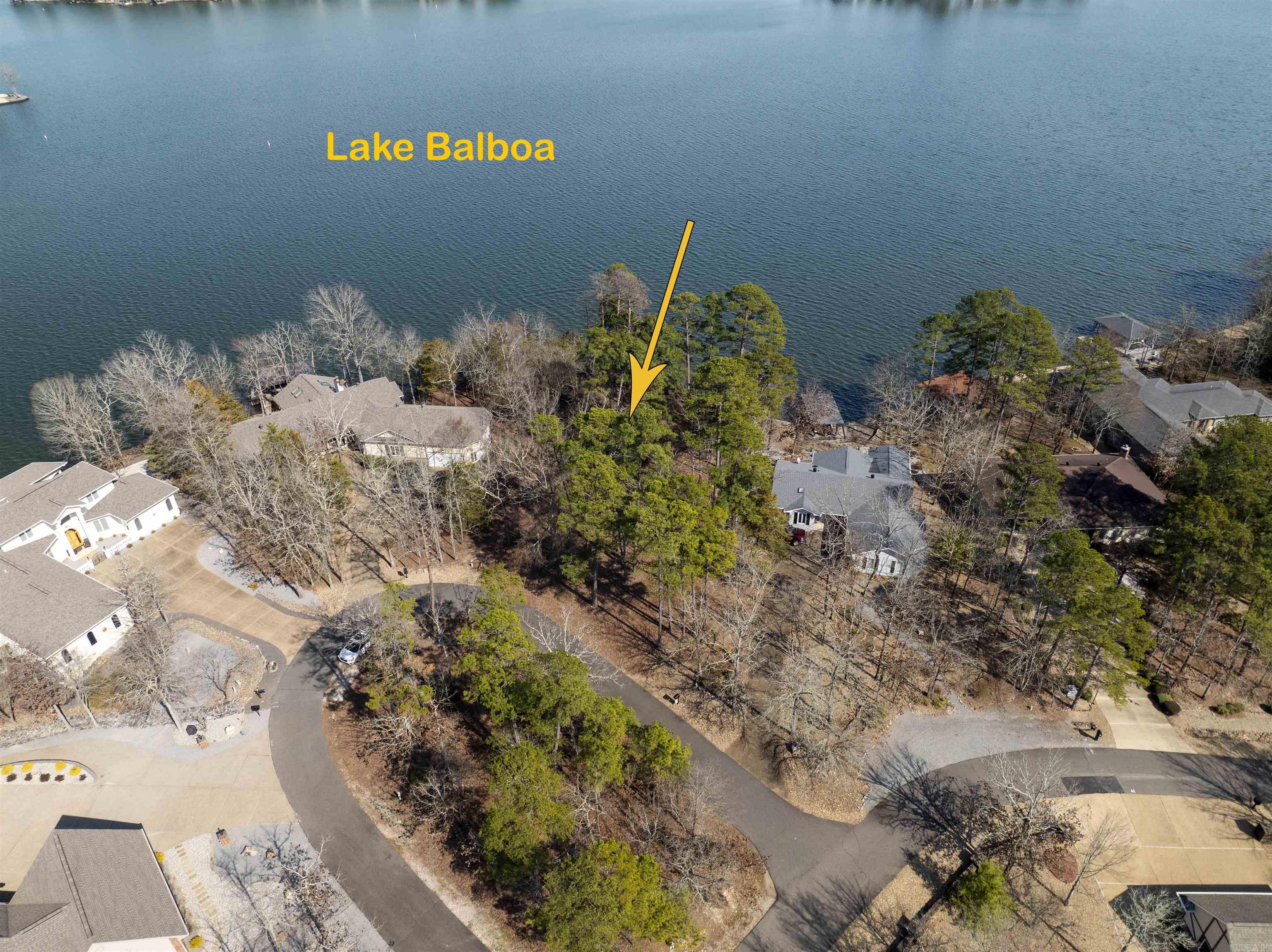 HUGE Lake Balboa lake lot! Already has a seawall which was built in 2019. Come and see what this lot can offer for your next lake home in Hot Springs Village. Agents see remarks.