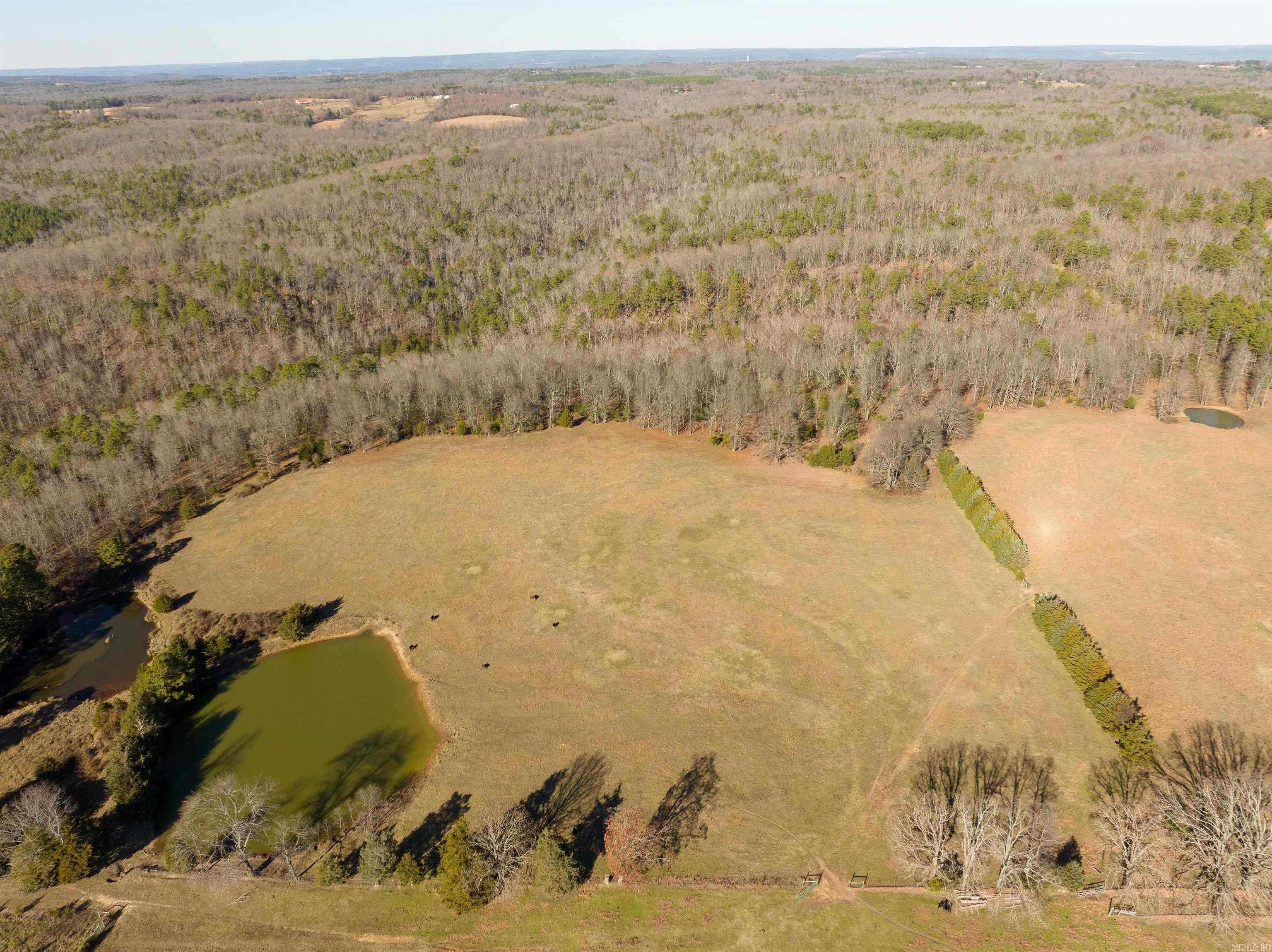 Stunning 80 acres in Cleburne County! Get lost on this beautiful property. Four ponds and a creek and approximately 20 acres of pasture. Water and electric on road.