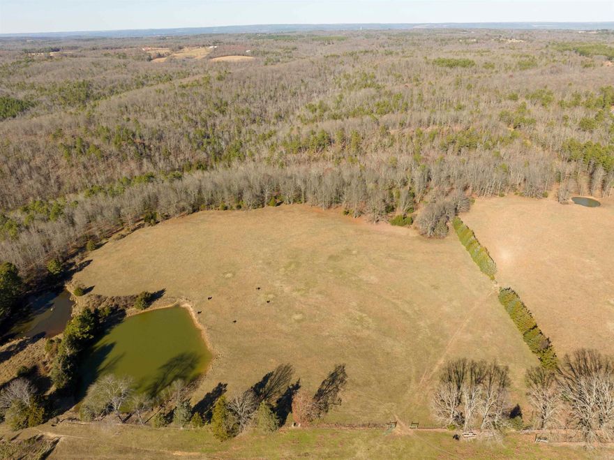 Stunning 80 acres in Cleburne County! Get lost on this beautiful property. Four ponds and a creek and approximately 20 acres of pasture. Water and electric on road.