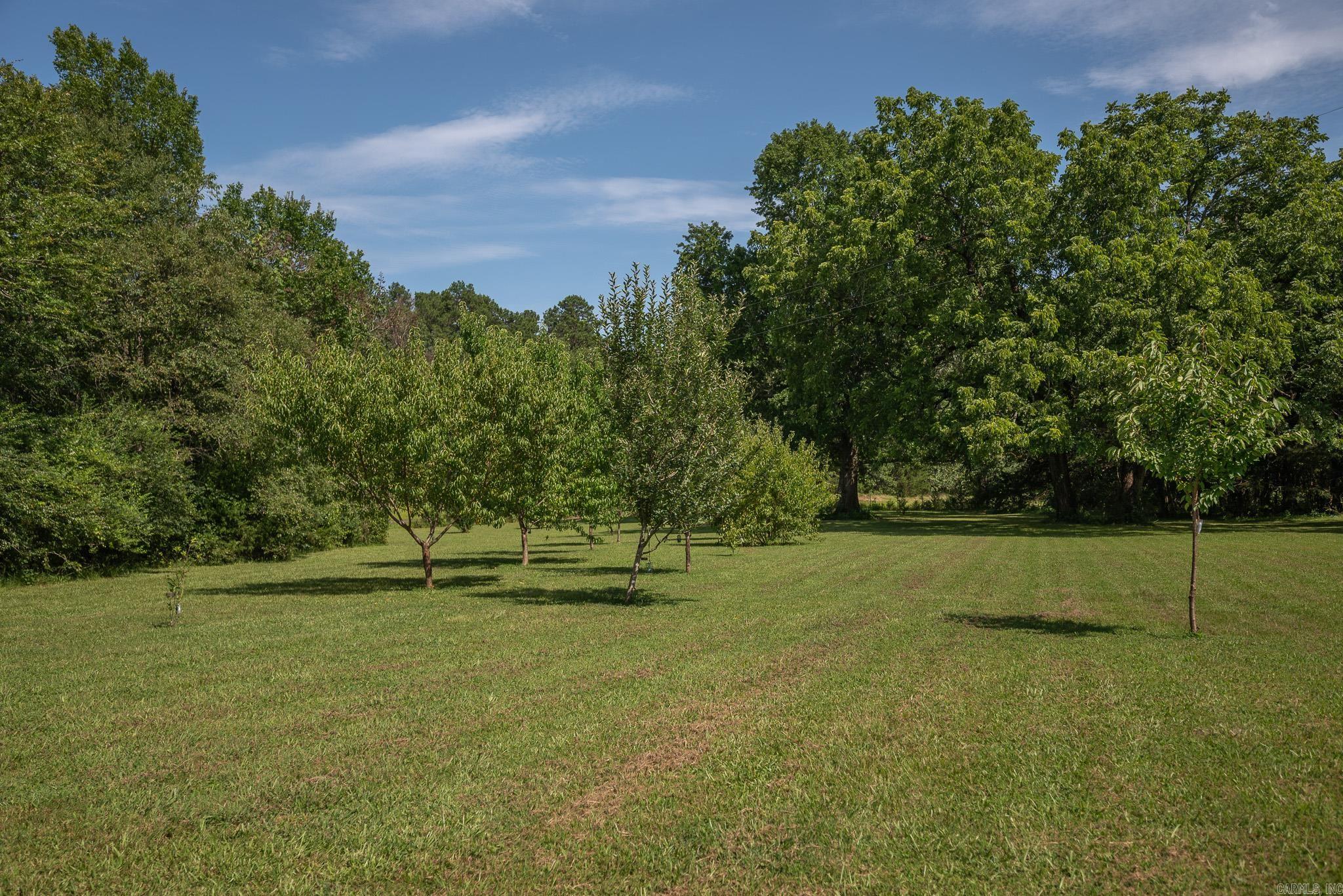 Mena Acreage - Residential