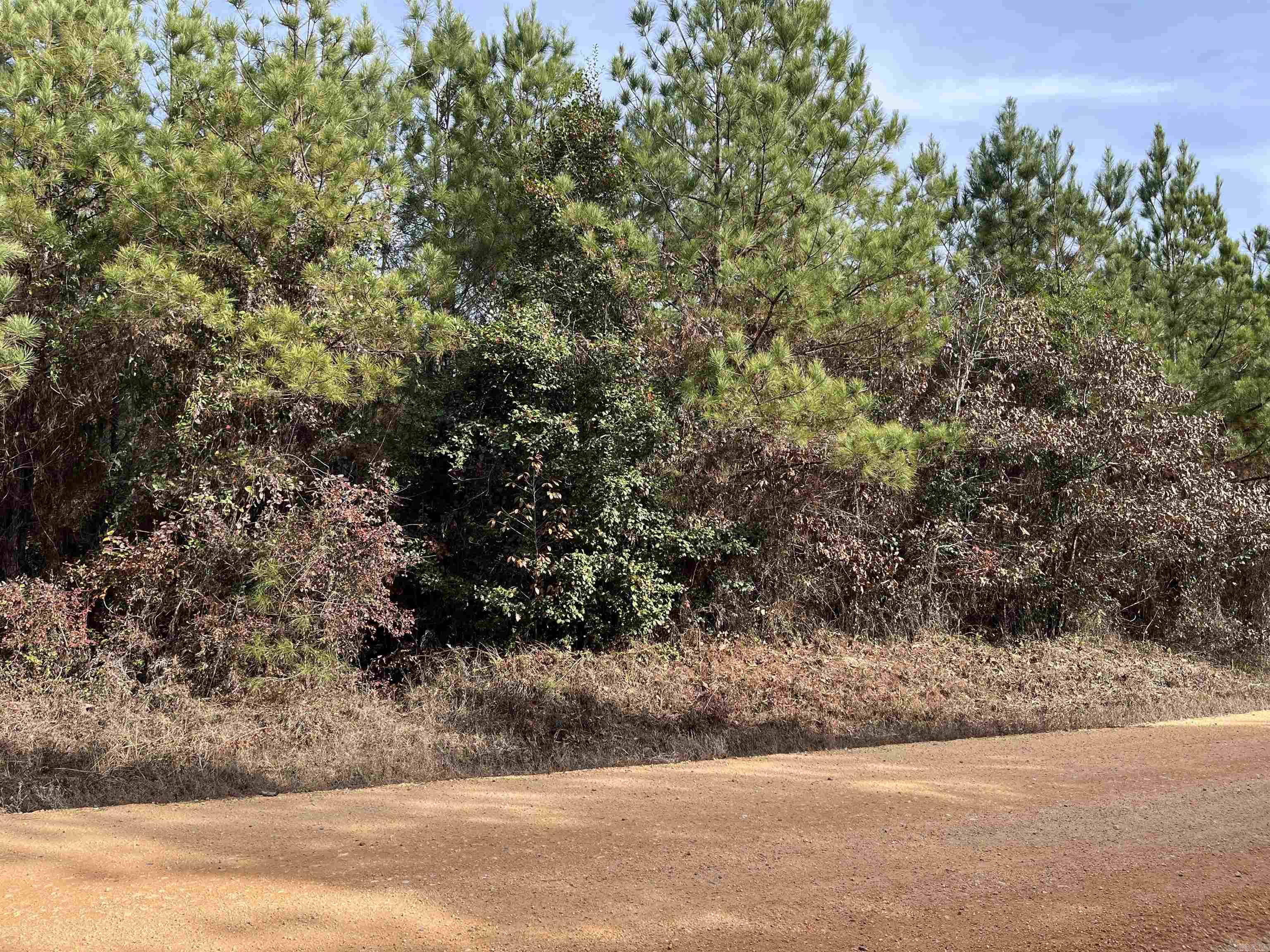 Beautiful acreage to build you dream home! Completely wooded tract with no restrictions. Perfect area for hunting, livestock and privacy outside of town.