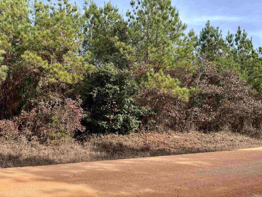 Beautiful acreage to build you dream home! Completely wooded tract with no restrictions. Perfect area for hunting, livestock and privacy outside of town.