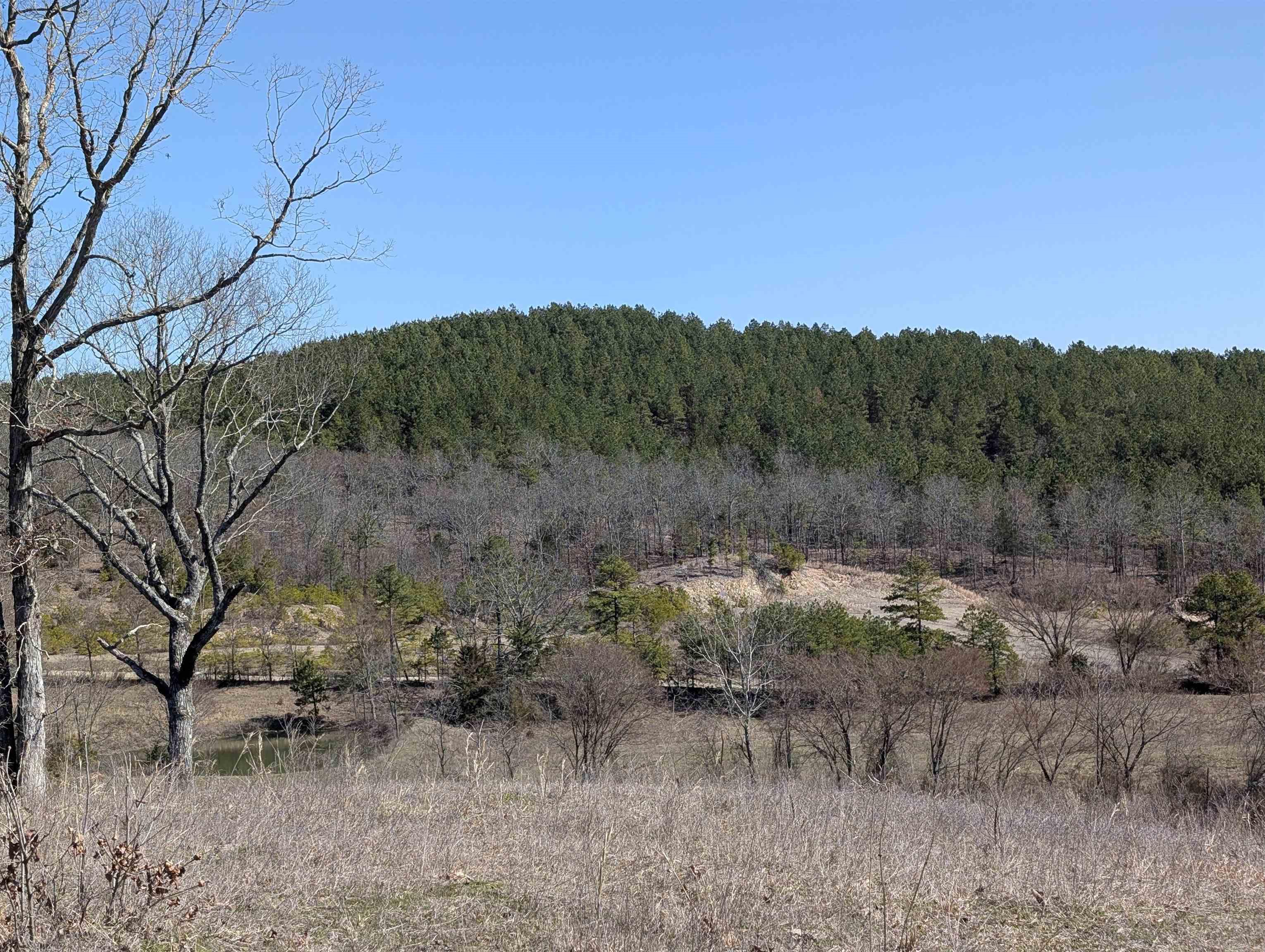 Approximately 12 acres with stunning 360-degree mountain views! This vacant land sits in the beautiful rolling hills of Board Camp. So many opportunities for recreational adventures on this land - this property has it all! Several nice building sites, no restrictions, also has a wet weather creek!